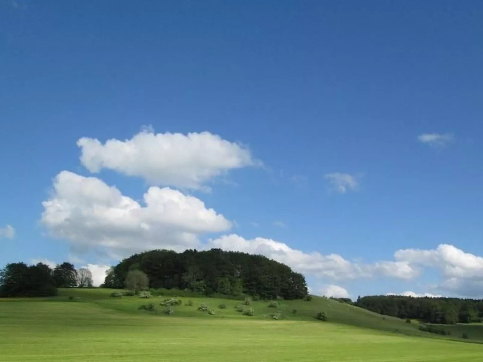 Wunderschönes Ferienhaus in Zainingen-Buiten