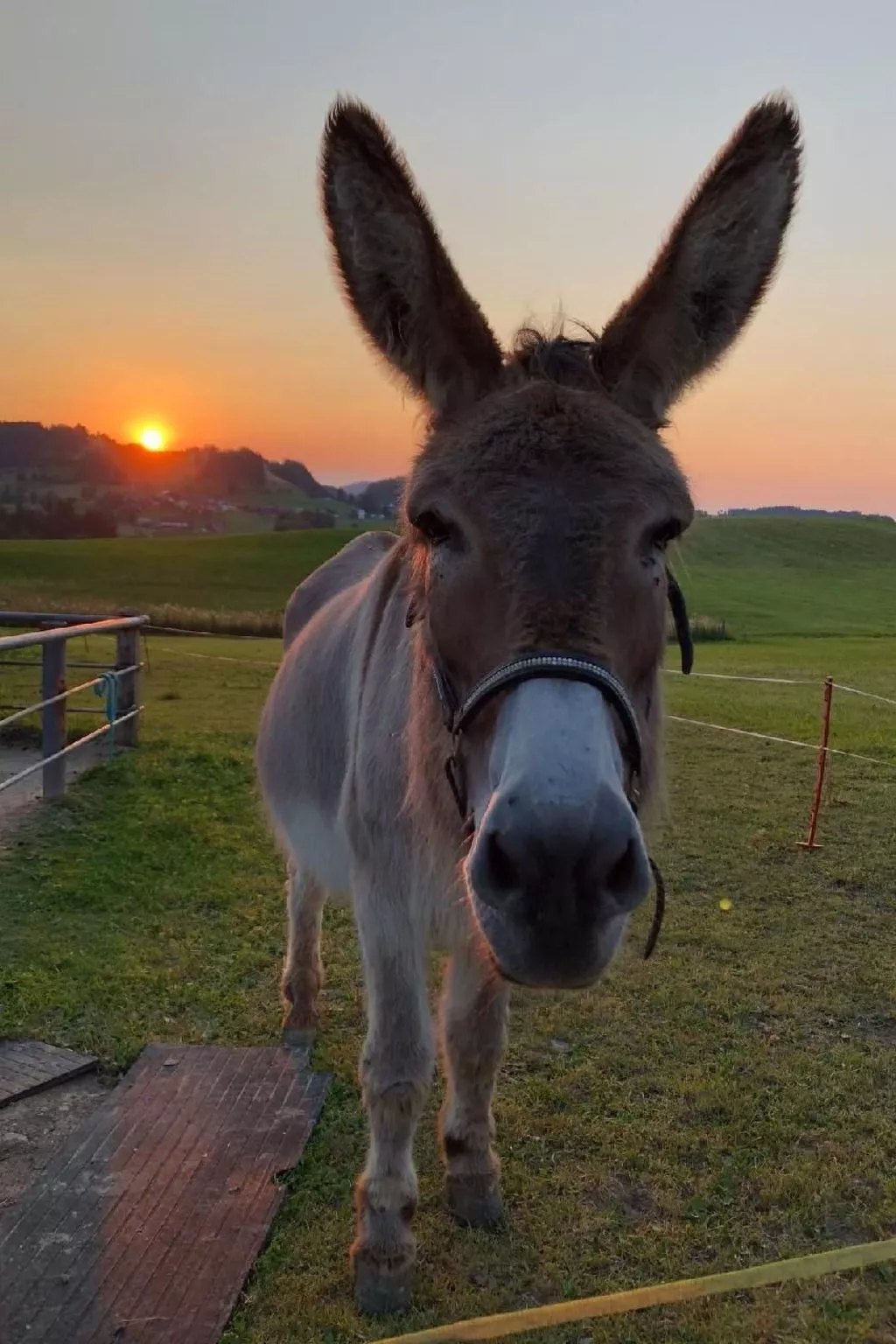 Bauernhof Sal-Buiten