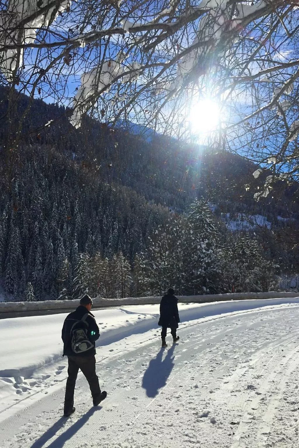 Spycher Niederwald-Buiten