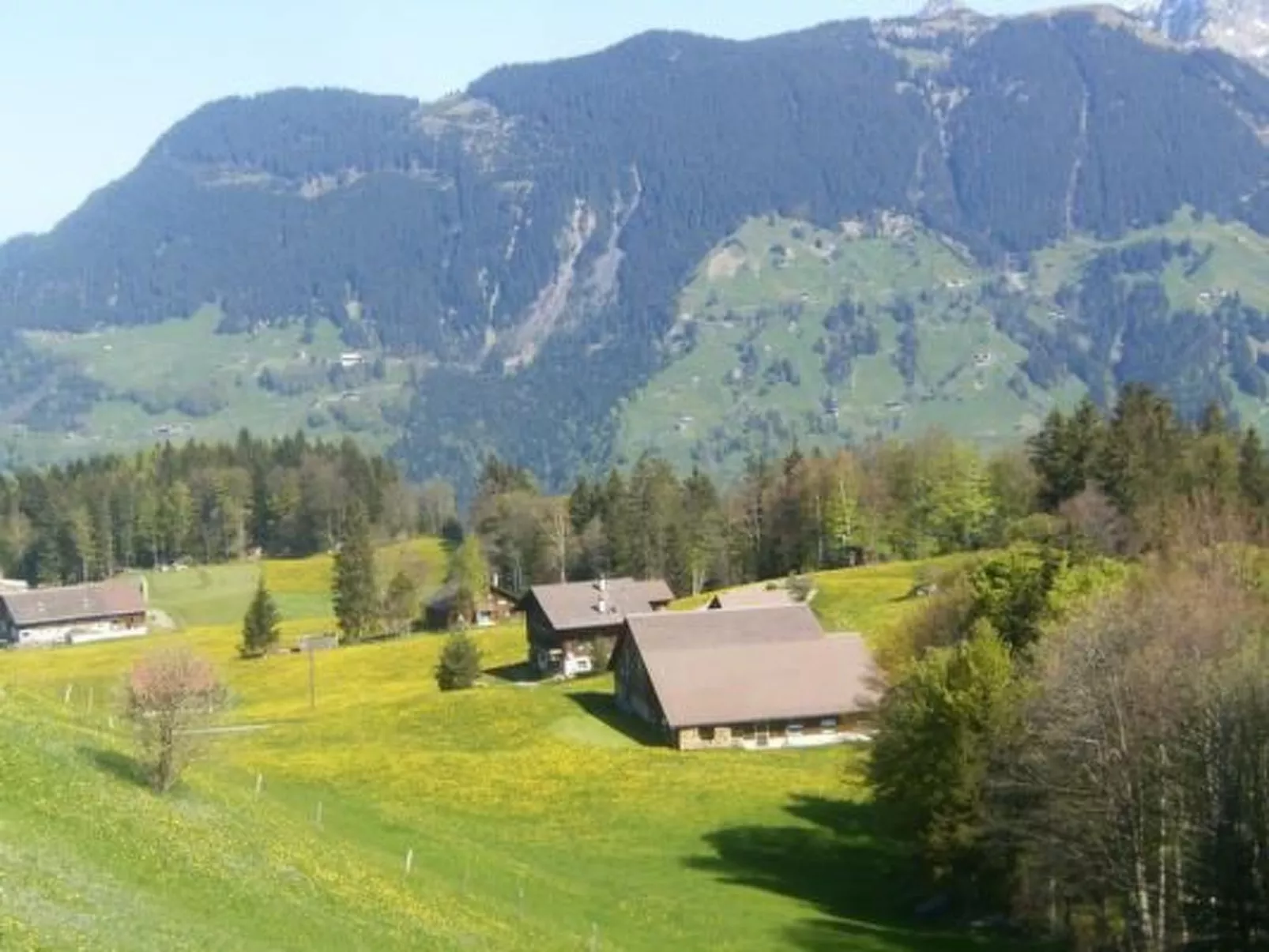 Ferien im grünen links-Image-tags.info