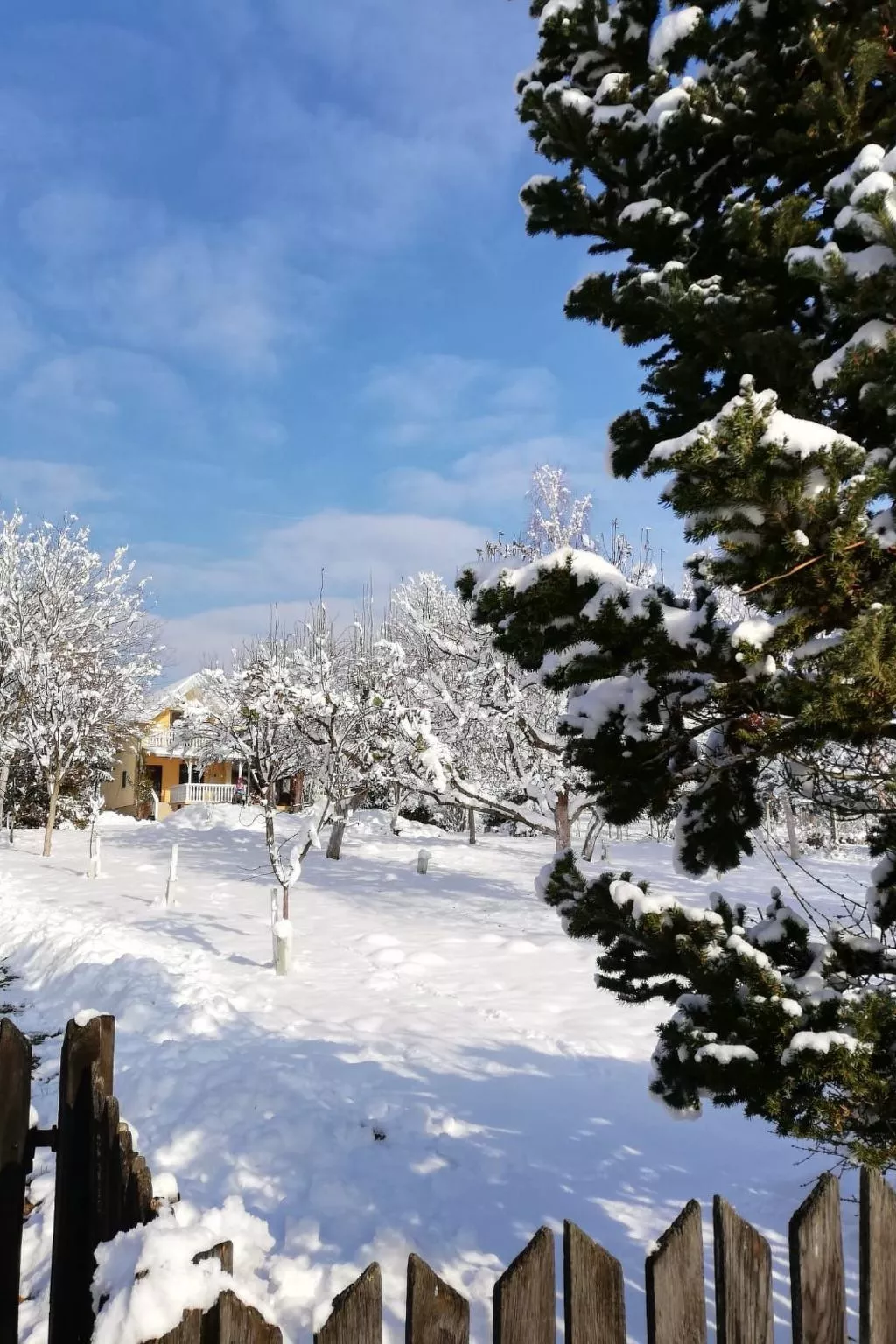 Hütte mit Garten, Grill und Terrasse-Buiten
