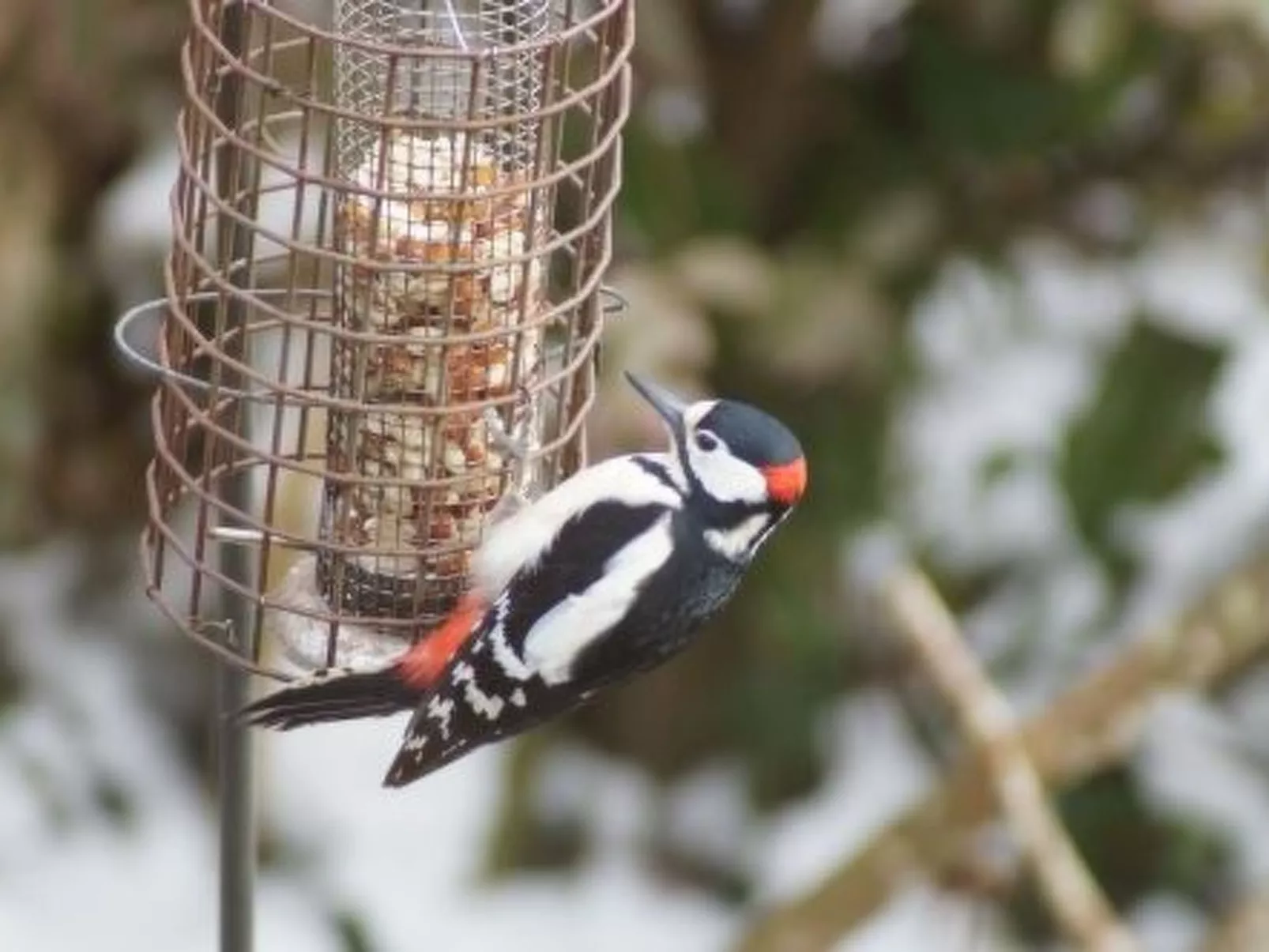 Idyllisches Landhaus Rosemary-Binnen