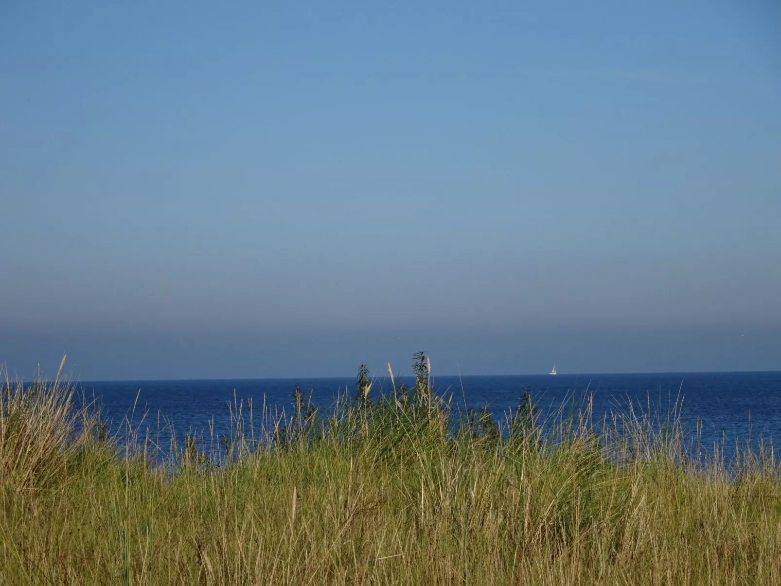 Sweet Home-Image-tags.info