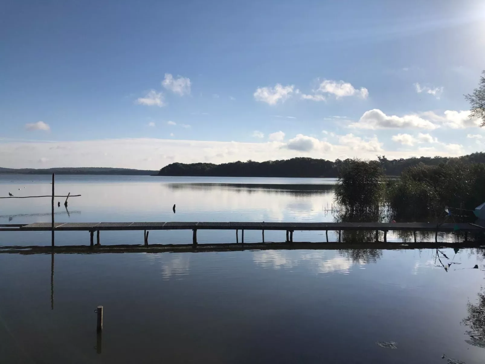 In Dahmen Terrasse und Grill-Buiten