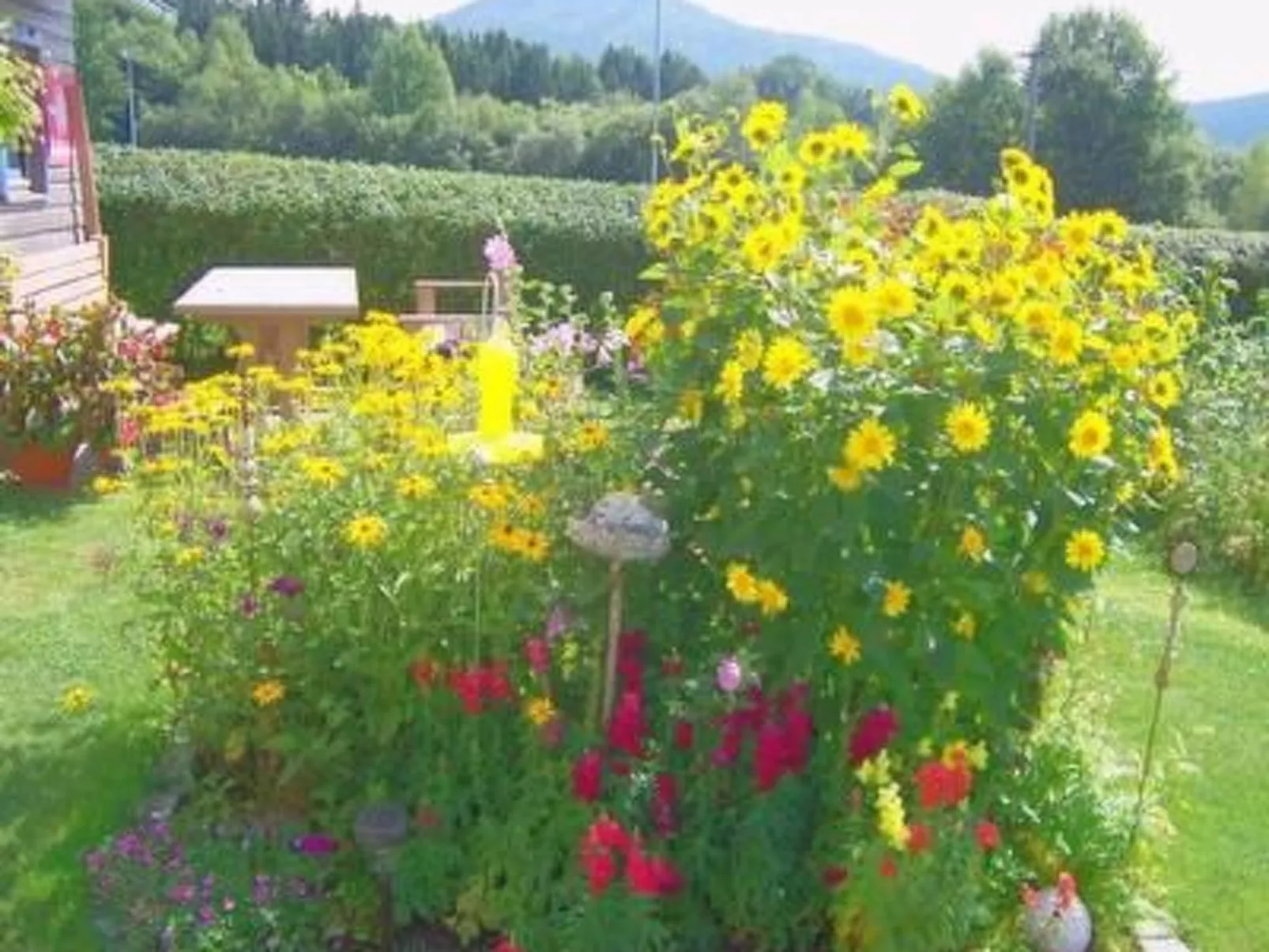 Appartement mit Terrasse, Garten und Grill-Buiten