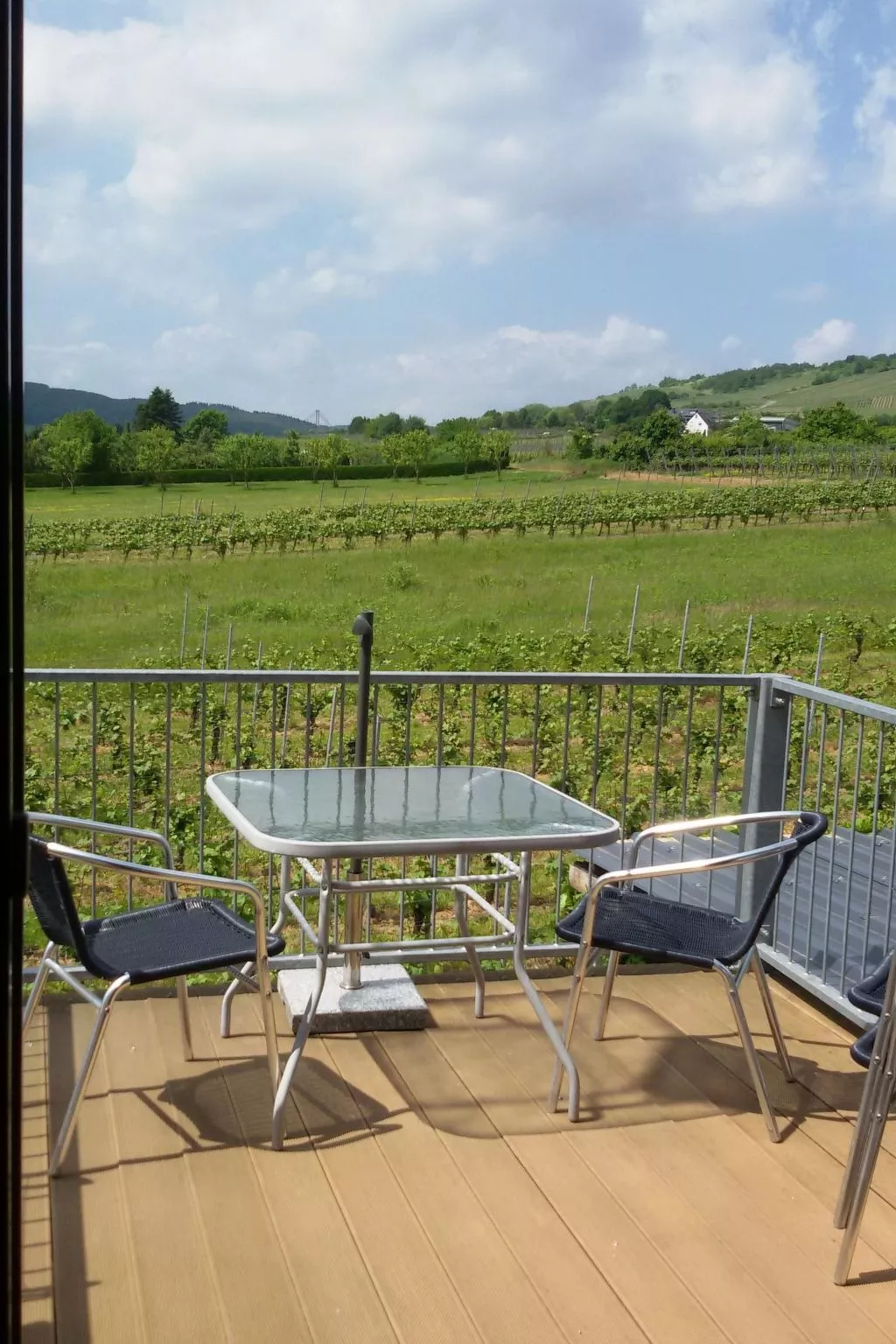 Wohnung mit Blick auf die Weinberge-Buiten