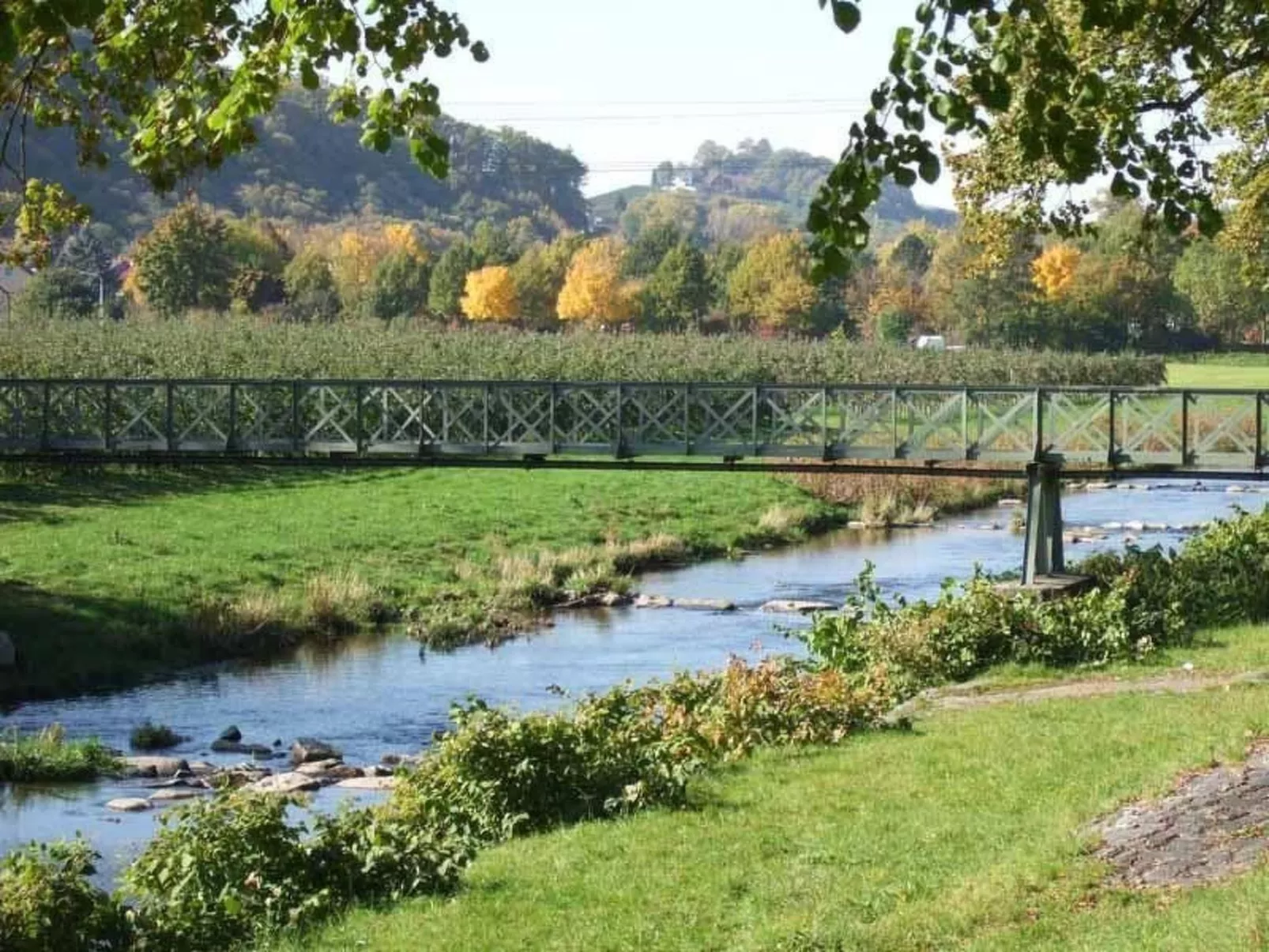 Mayer in Oberkirch-Binnen