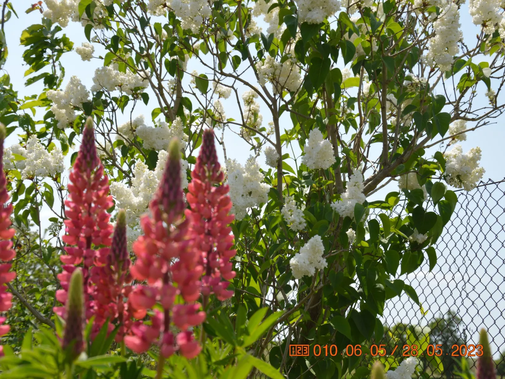 Büdnerei Cantnitz-Buiten