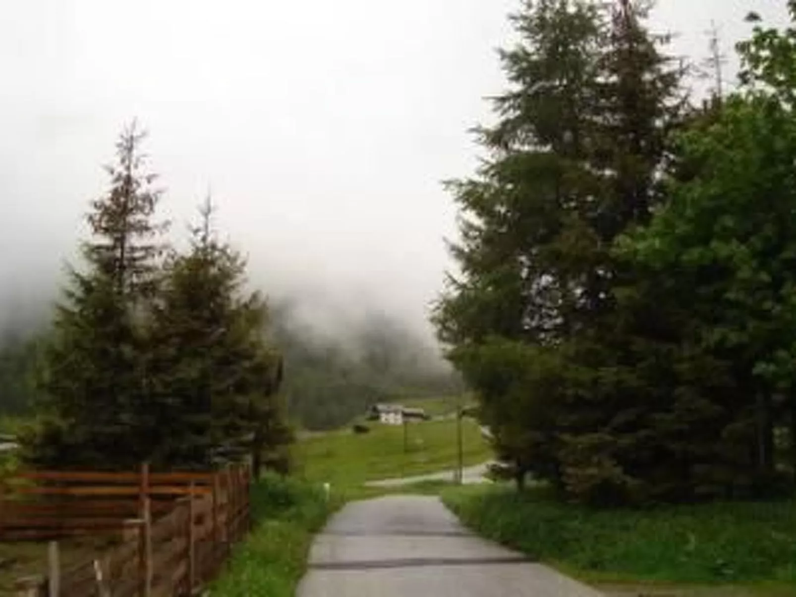 Wohnung Waldeslust in St. Sigmund im Sellrain-Binnen