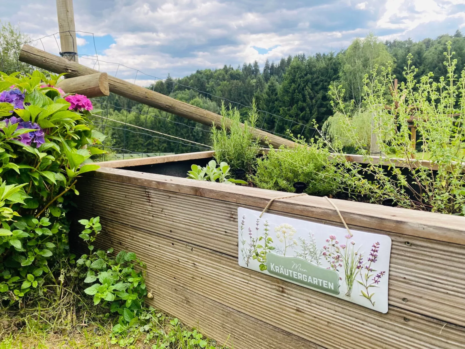 Lemsitz34-Image-tags.info