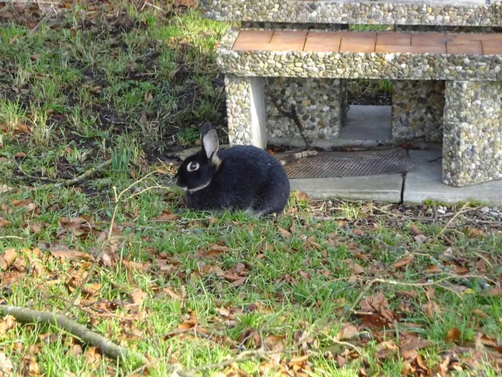 Rehalp Westen-Buiten
