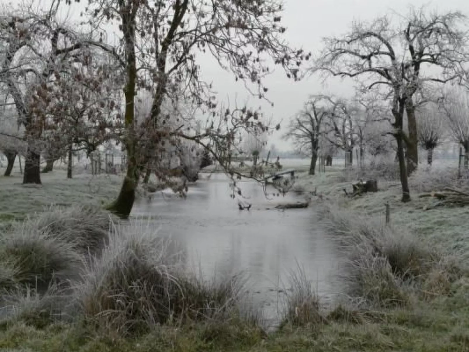 Wohnung auf dem Bauernhof-Image-tags.info