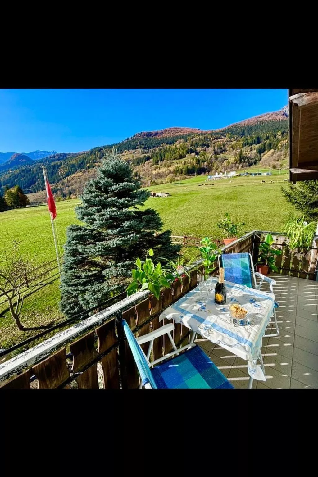 "Window on the grenn"-Binnen