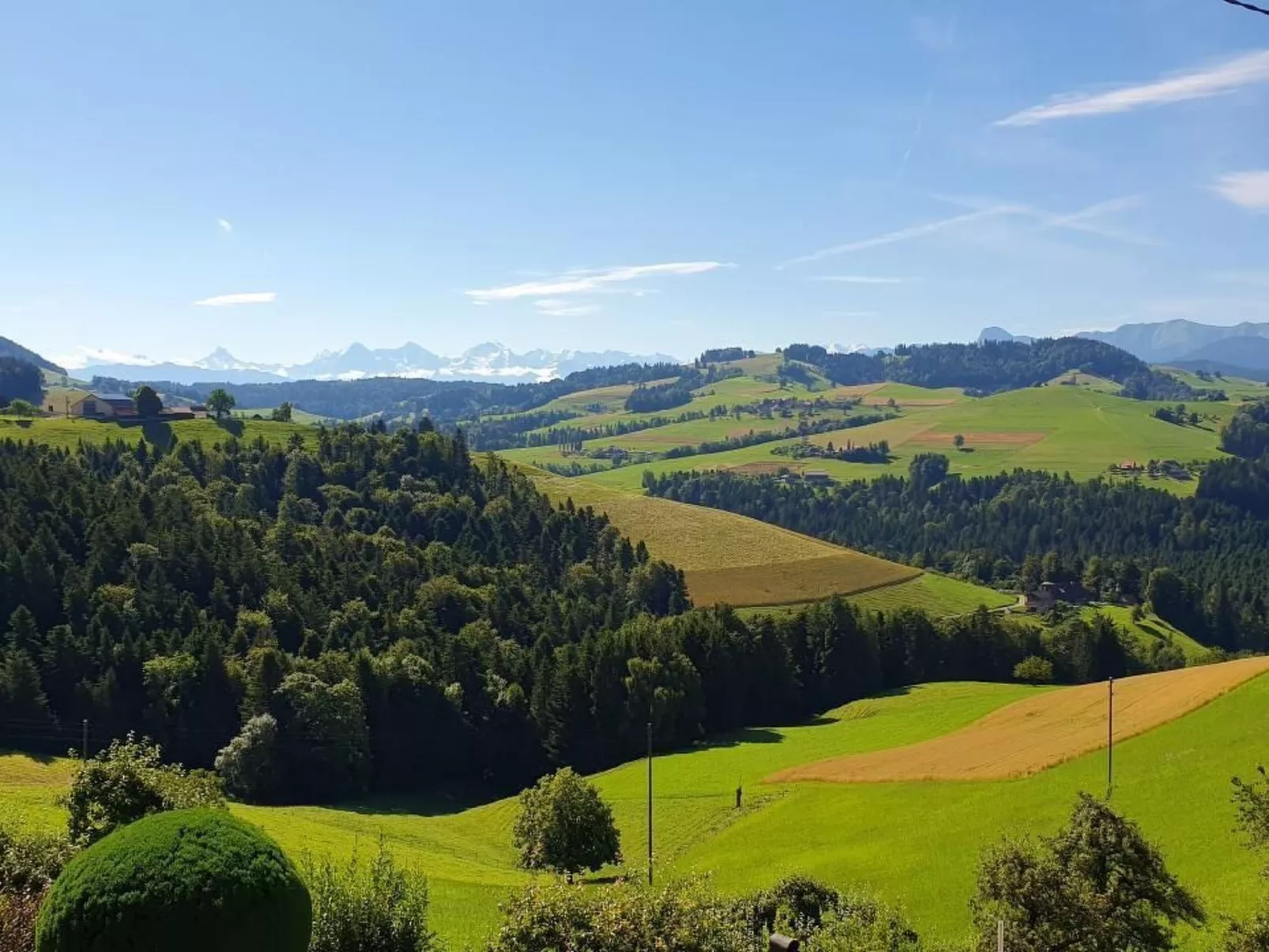 In einem heimeligen Berner-Stöckli-Buiten