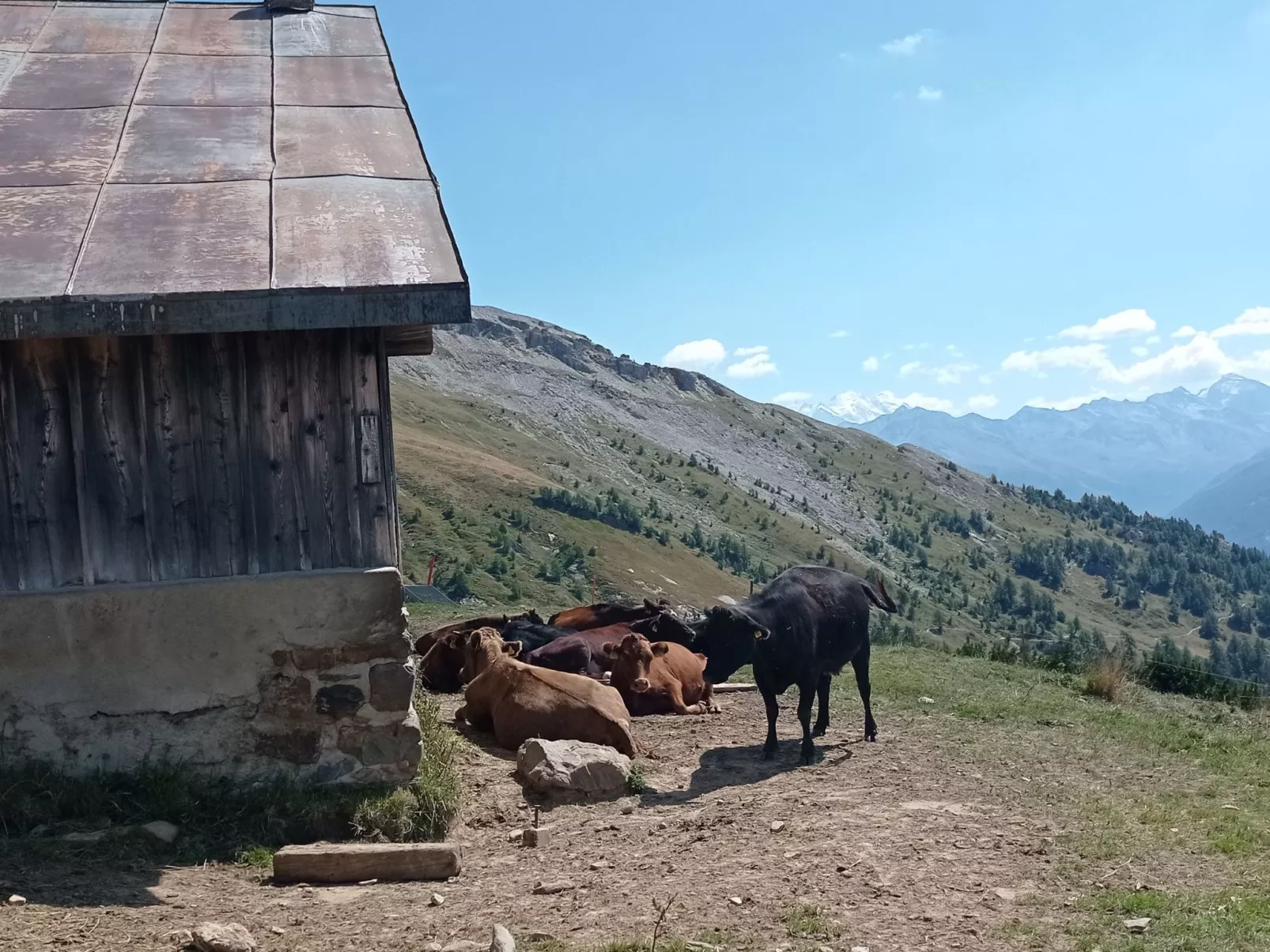 Renoviertes Studio mit mäjestätischer Aussicht-Buiten