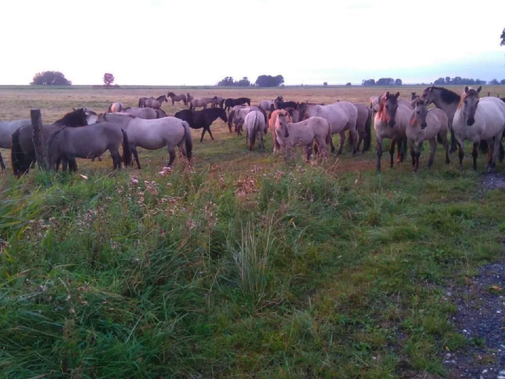 Juwel an der Lagune-Binnen