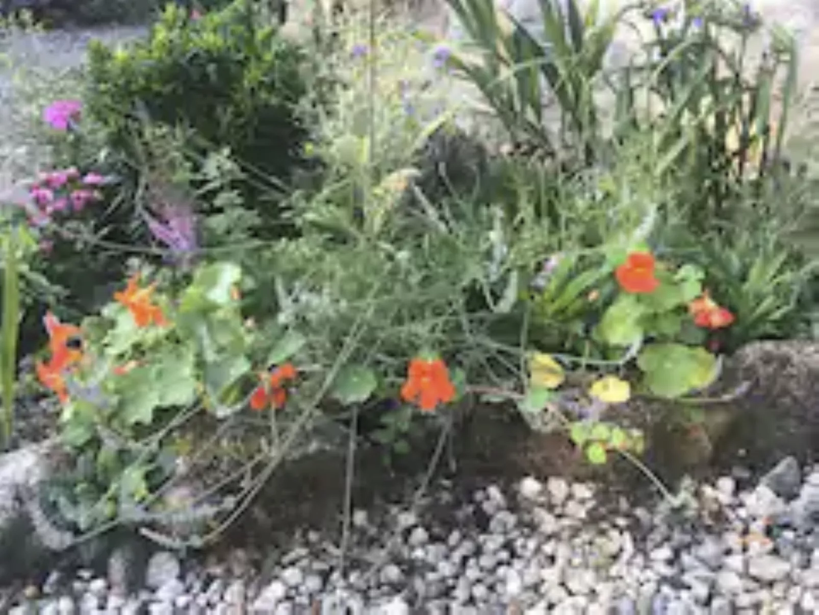 Idyllisches Landhaus mit wunderschönem Garten-Binnen