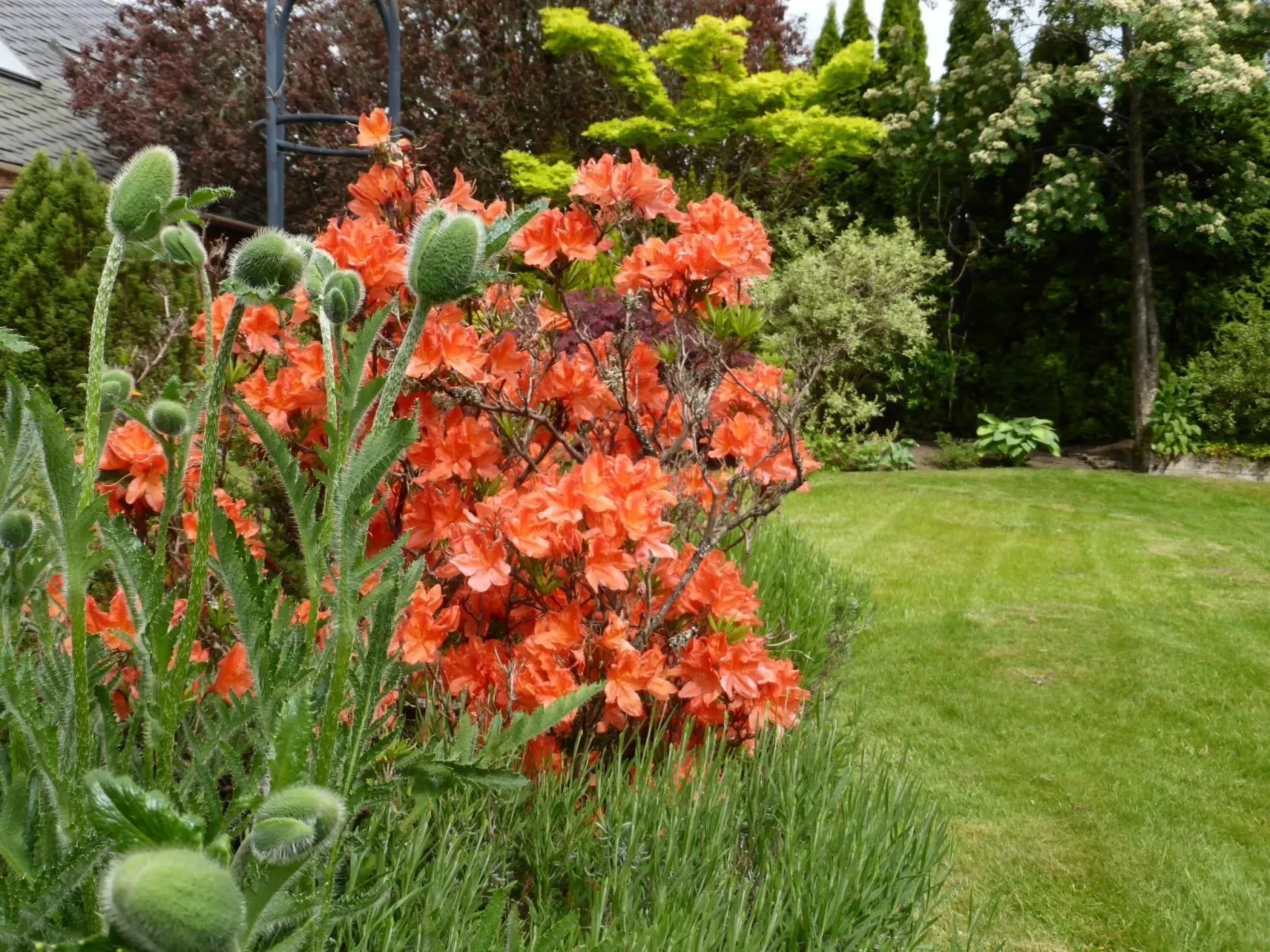 Schönes viktorianische Villa in Blairgowrie-Binnen