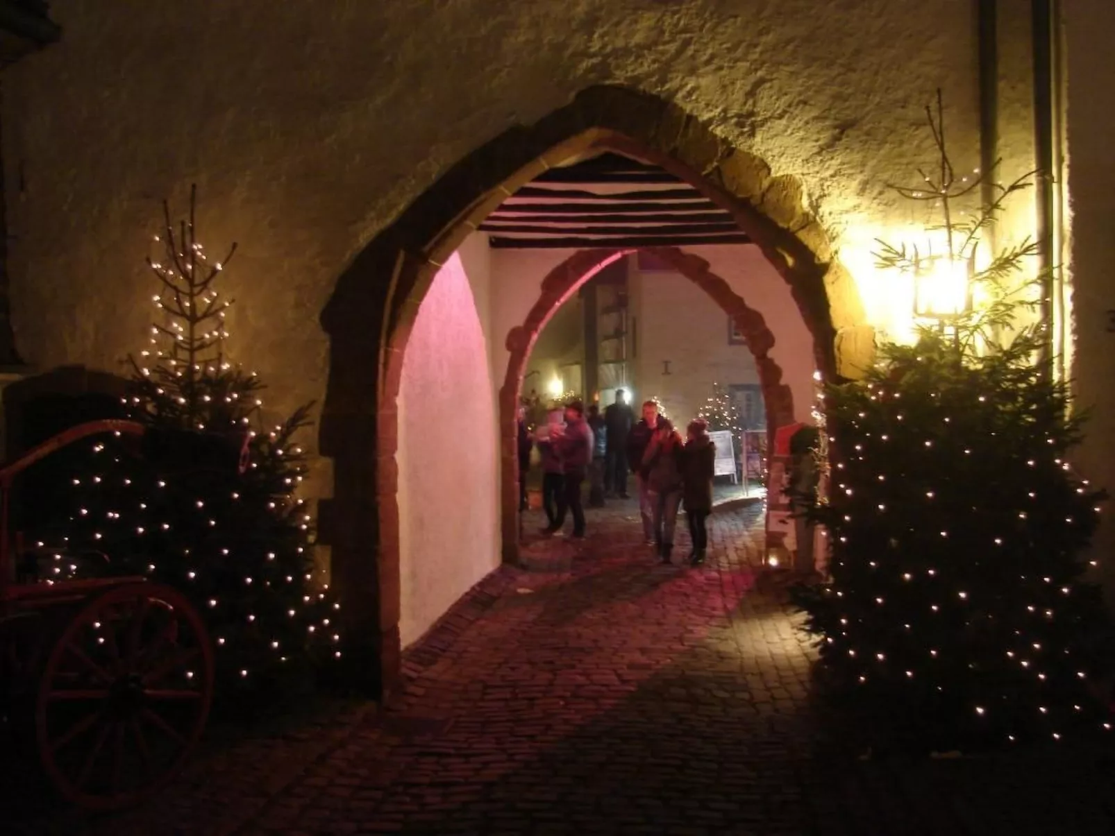 Snowview Lodge-Binnen