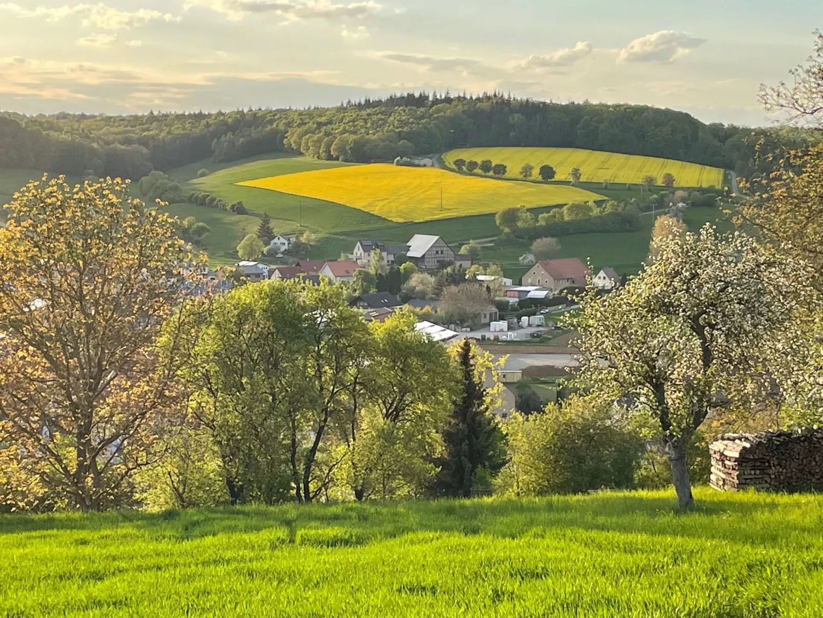 Nassauer Forsthaus-Binnen