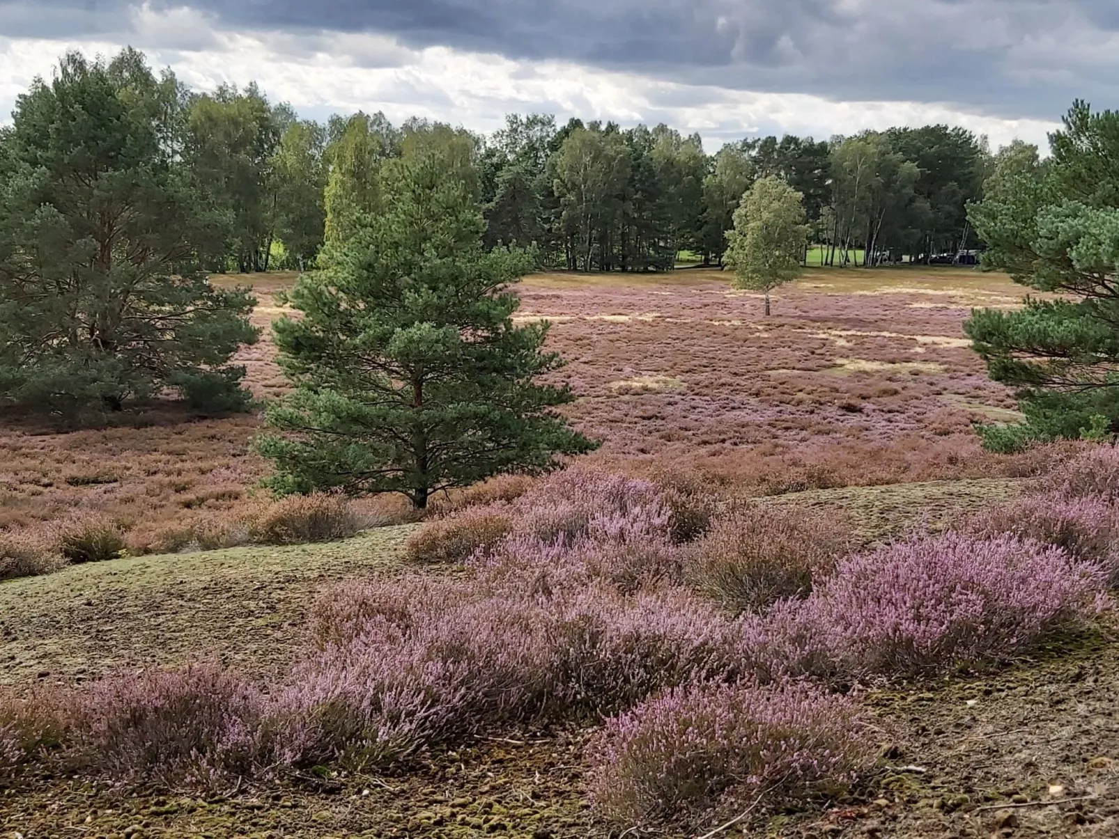 Wohnung in Jameln mit Garten, Grill und Terrasse-Binnen