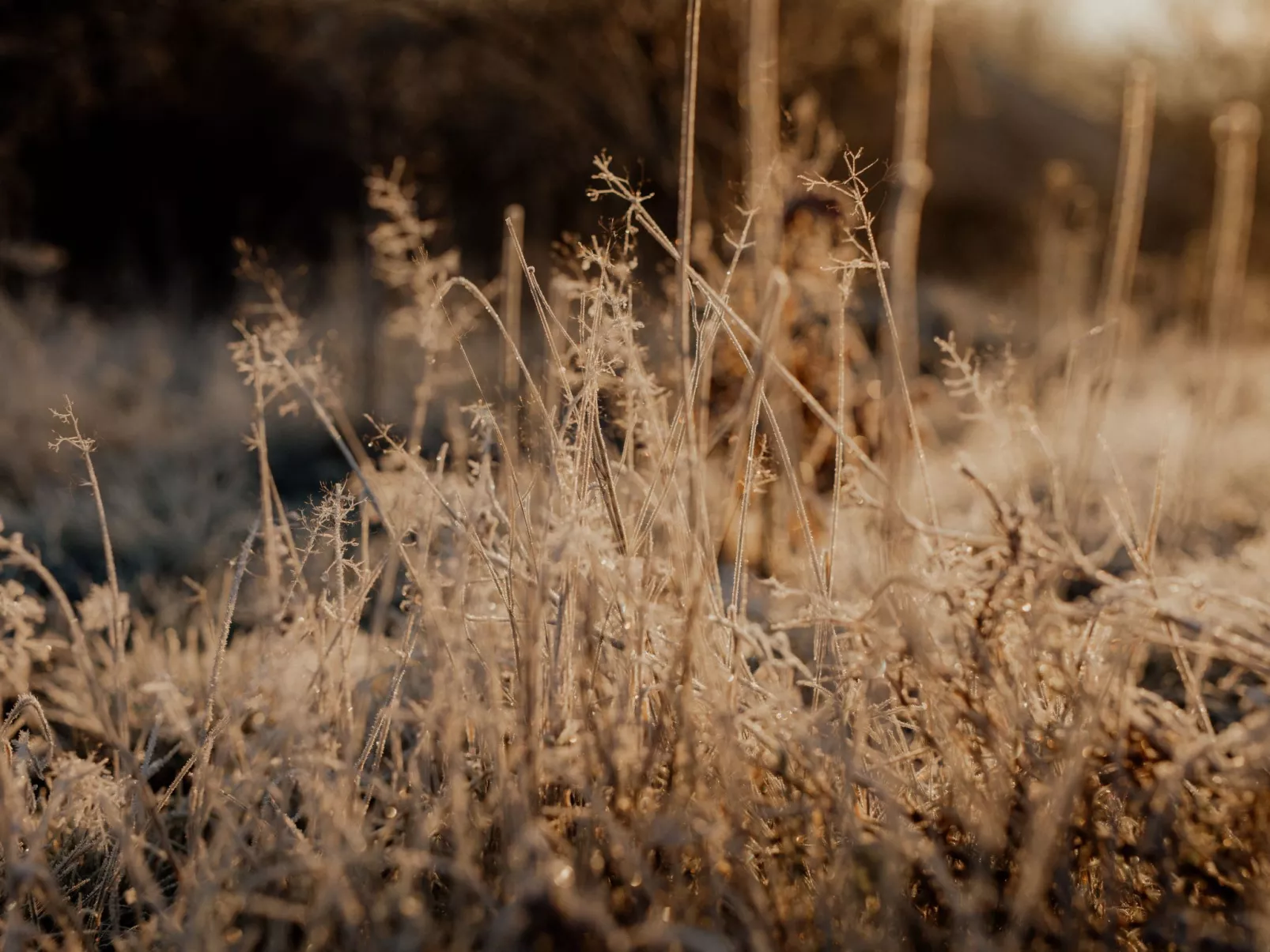 FlowFort - Riesengebirgsblick Spa Wellness-Buiten