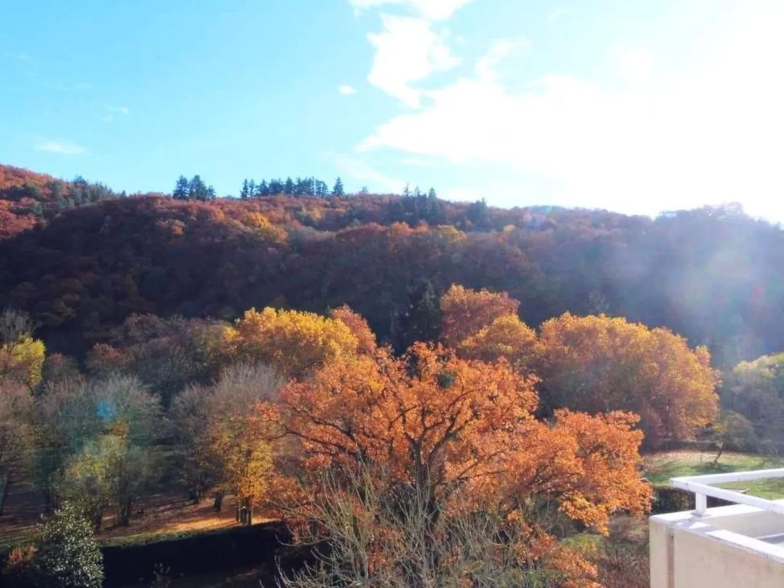 Große Wohnung in Bad Münster Am Stein-Ebernburg-Buiten