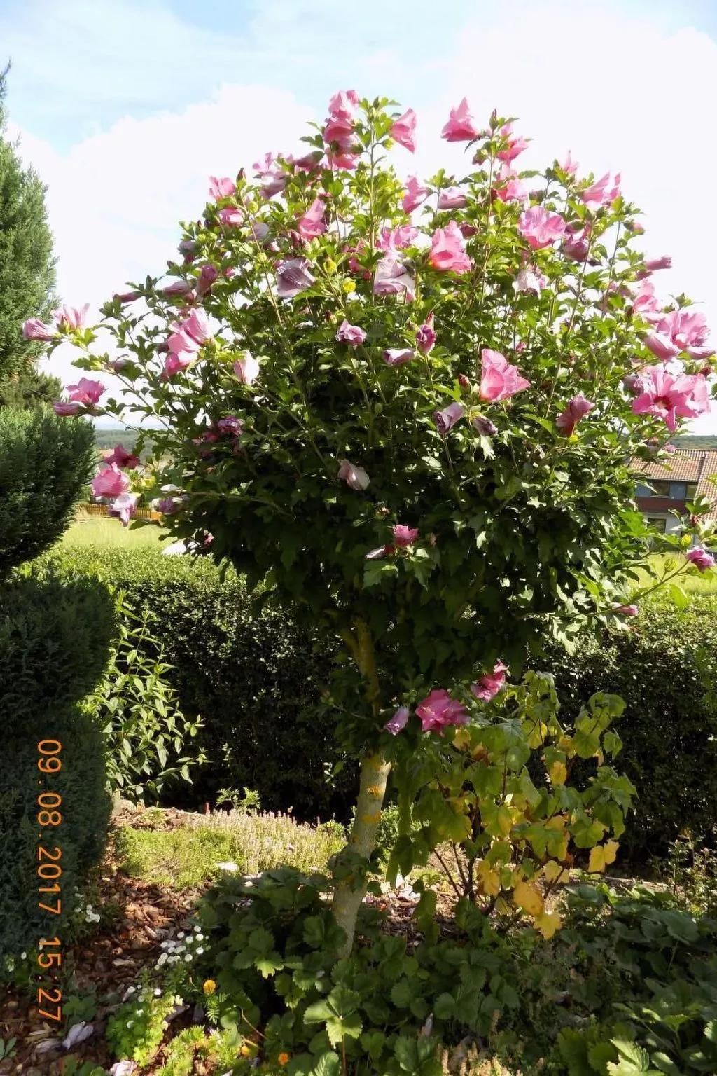 Appartement mit Terrasse, Garten und Grill-Buiten