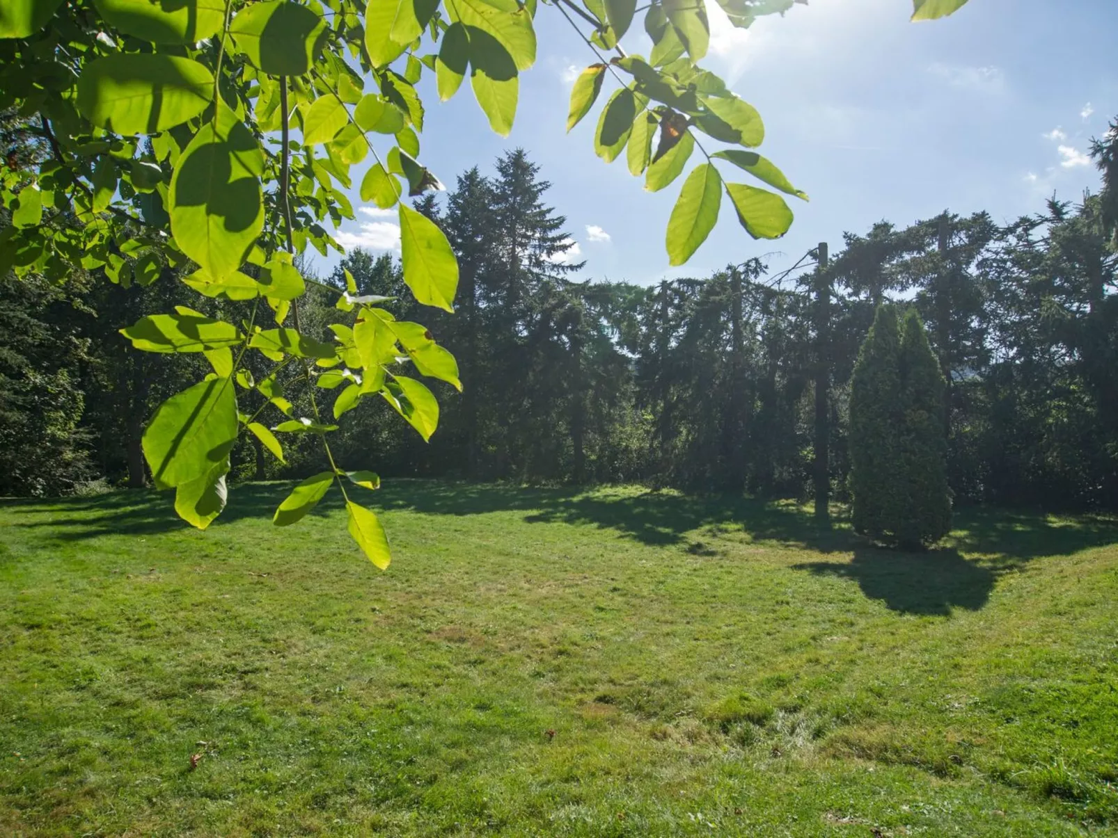 Gemütliches Ferienhaus in Hasenfeld mit Großem Garten-Binnen