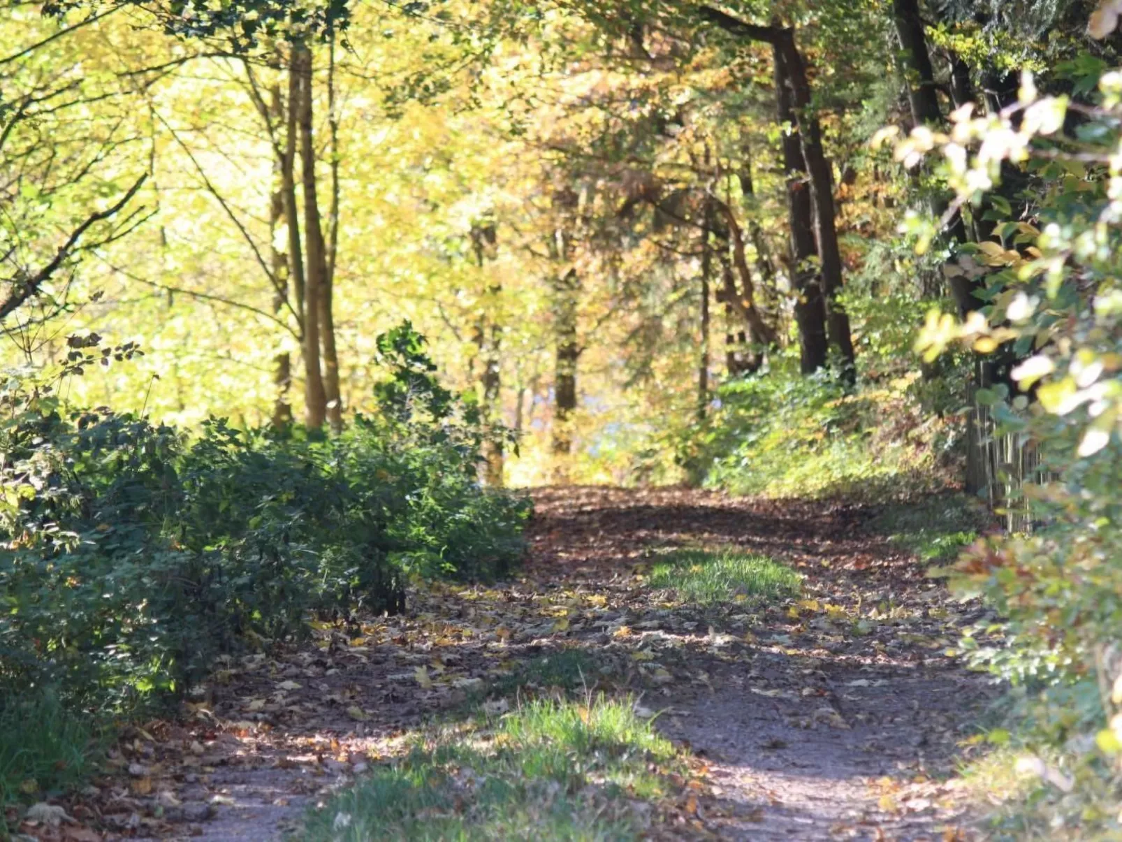 Wohnung in Heringhausen mit Grill-Binnen
