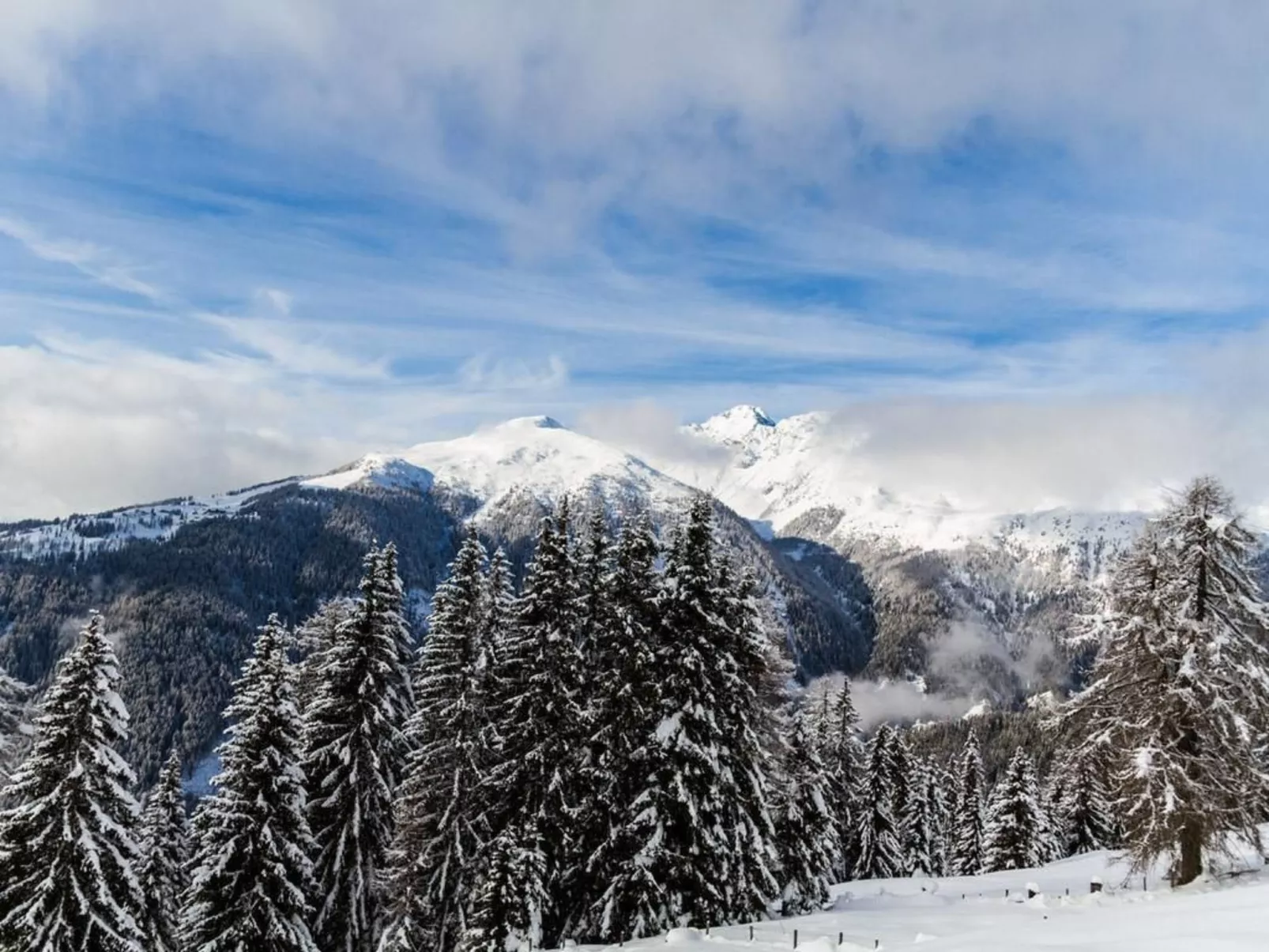 Almhütte Enzian-Buiten