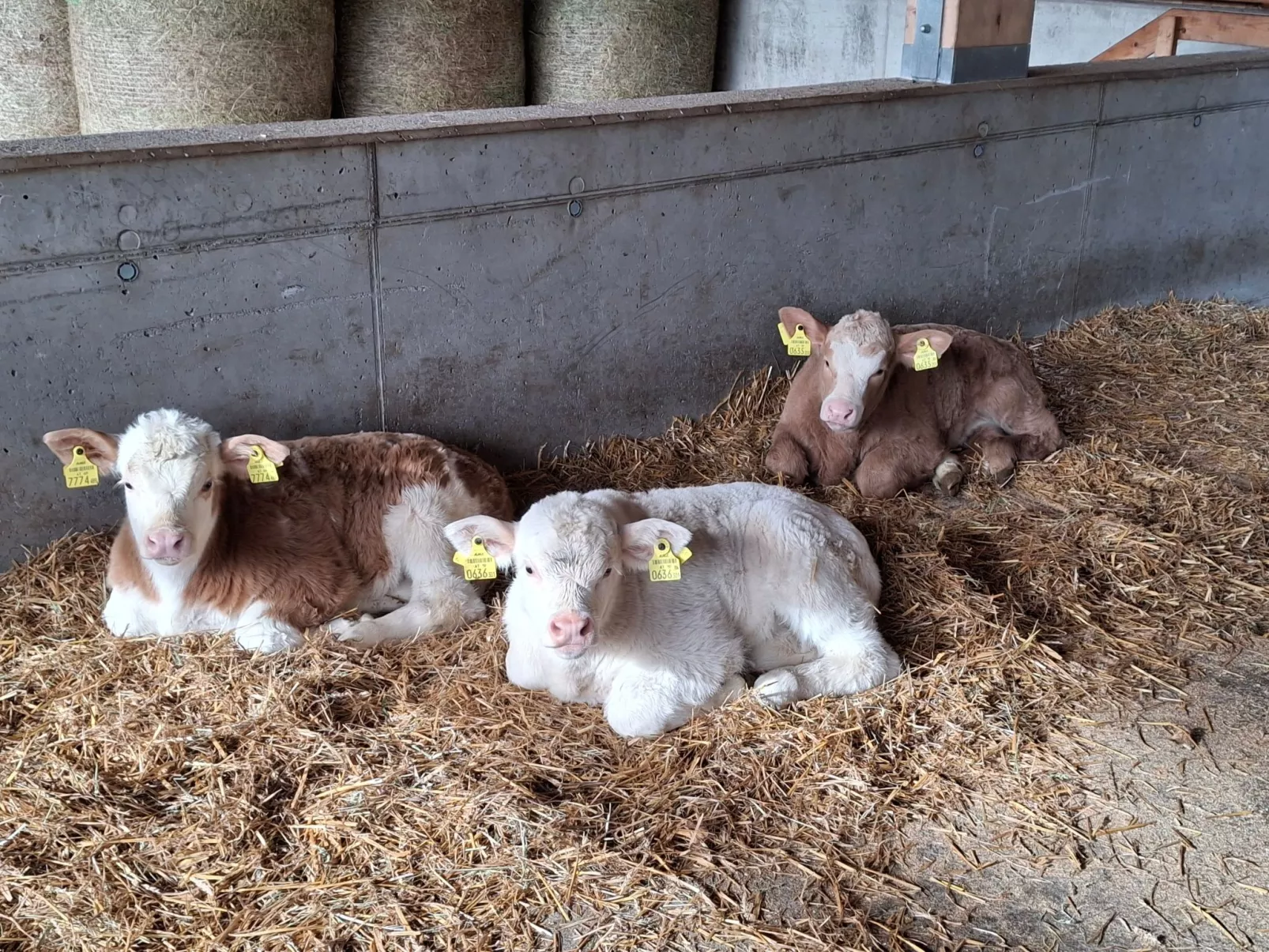 Waldpension Ranner-Buiten