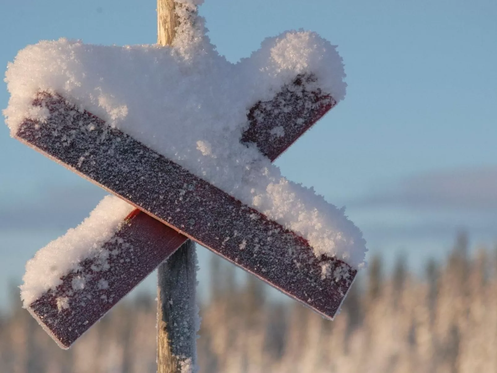 Charmantes Blockhaus, Sauna und Kamin-Buiten