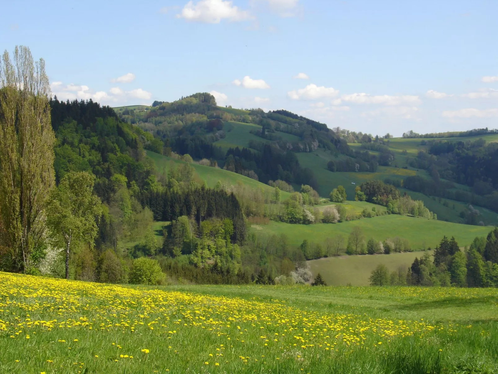 Charmantes, traditionelles Holzhaus-Binnen