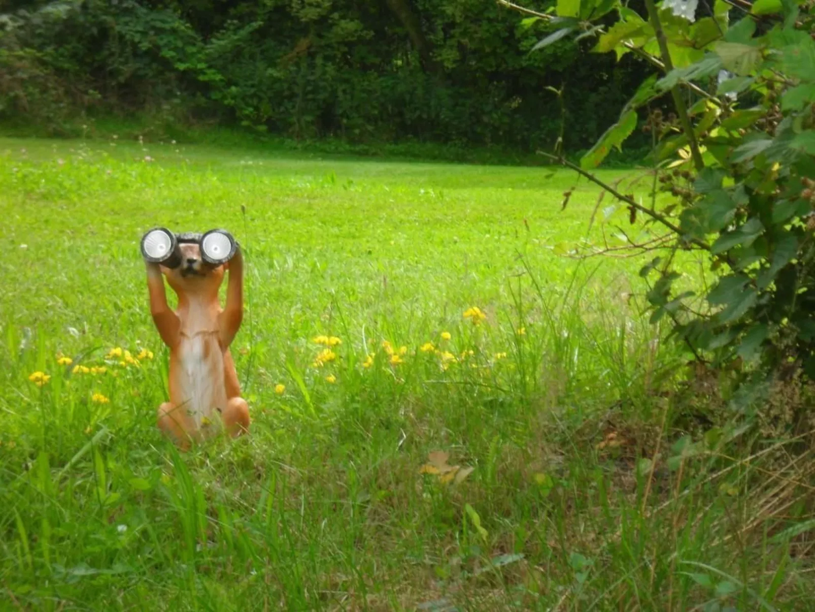 In Kuhklingen mit Großer Terrasse-Binnen