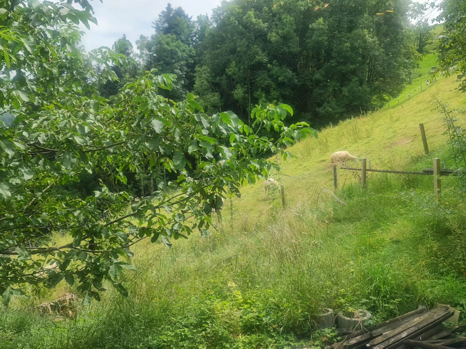 Bienenhaus Speicher-Image-tags.info