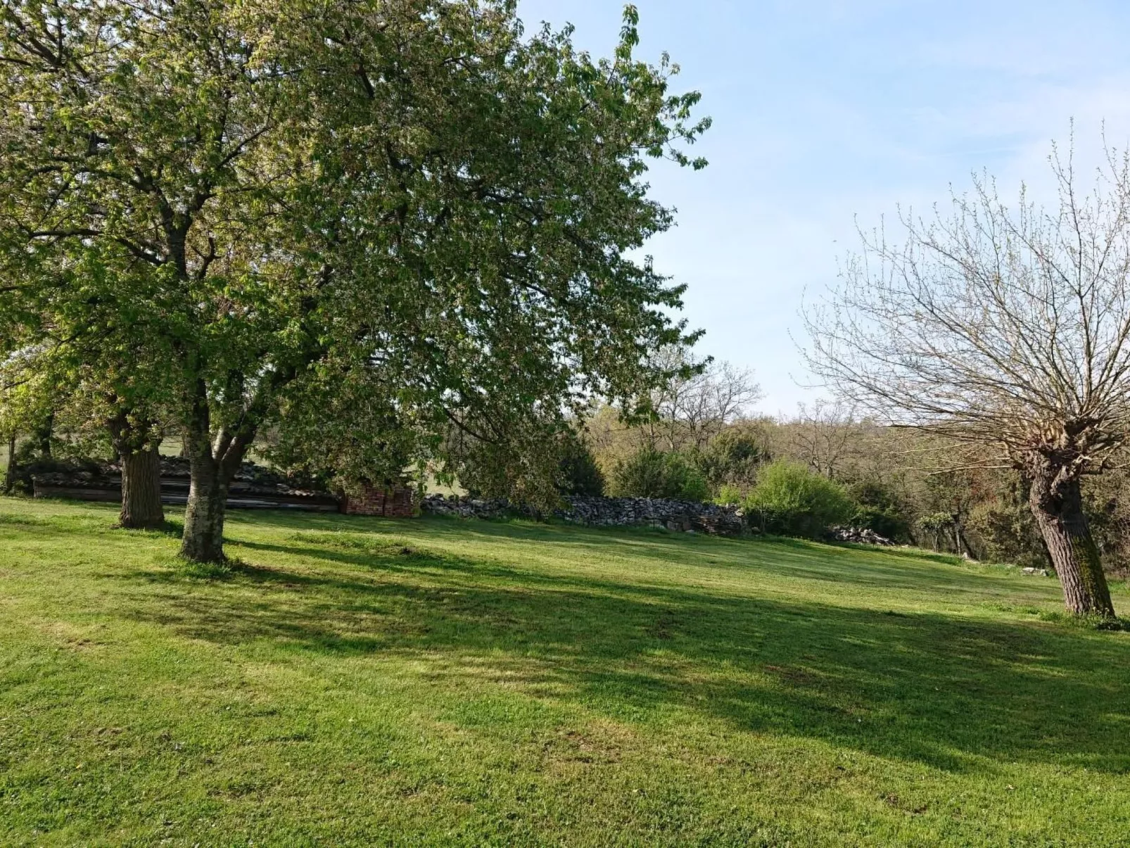 Das Haus im Wald-Binnen