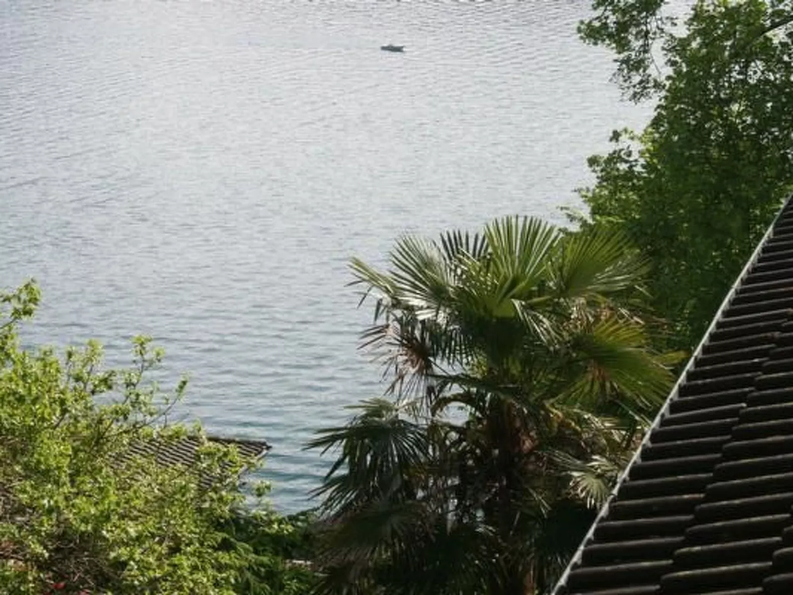 Traumstrand Vitznau-Buiten