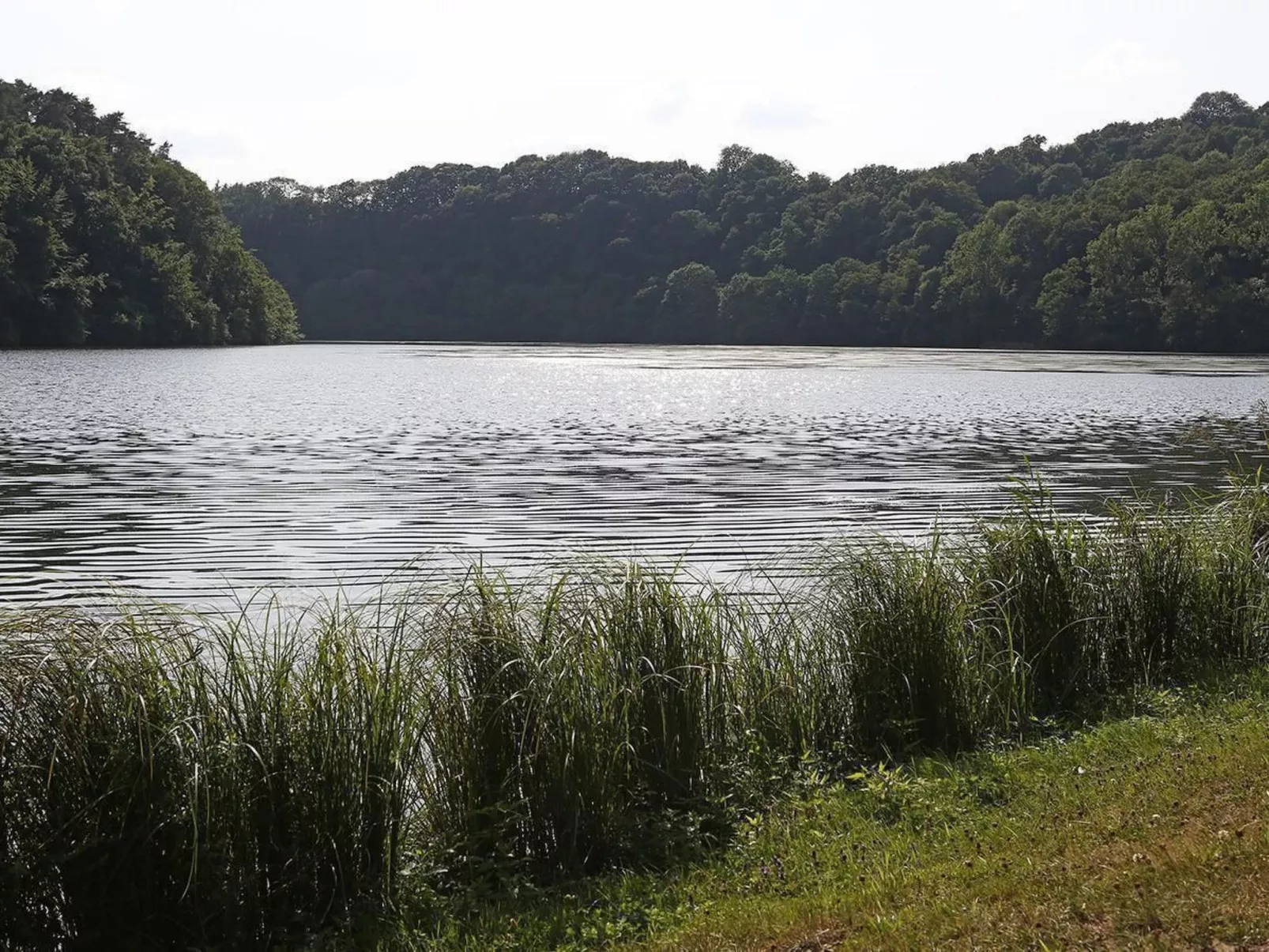 Mit Terrasse und Garten Südeifel-Binnen