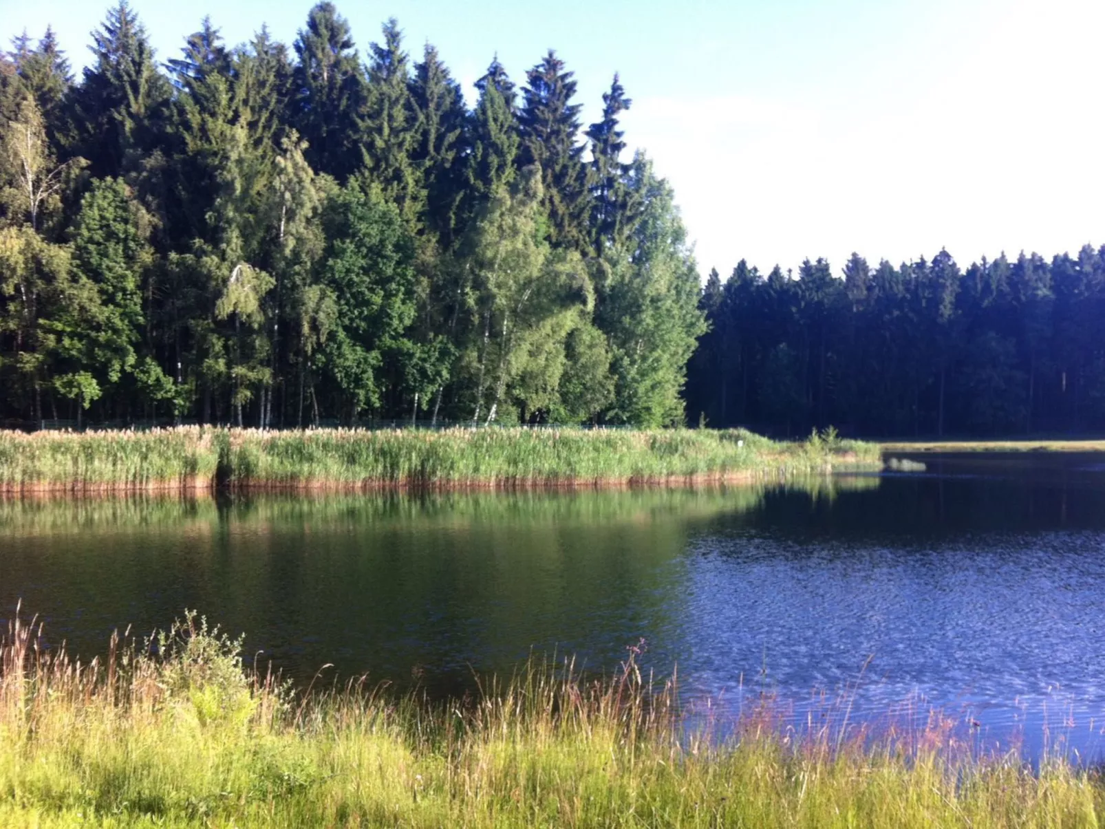 Waldhaus-Image-tags.info