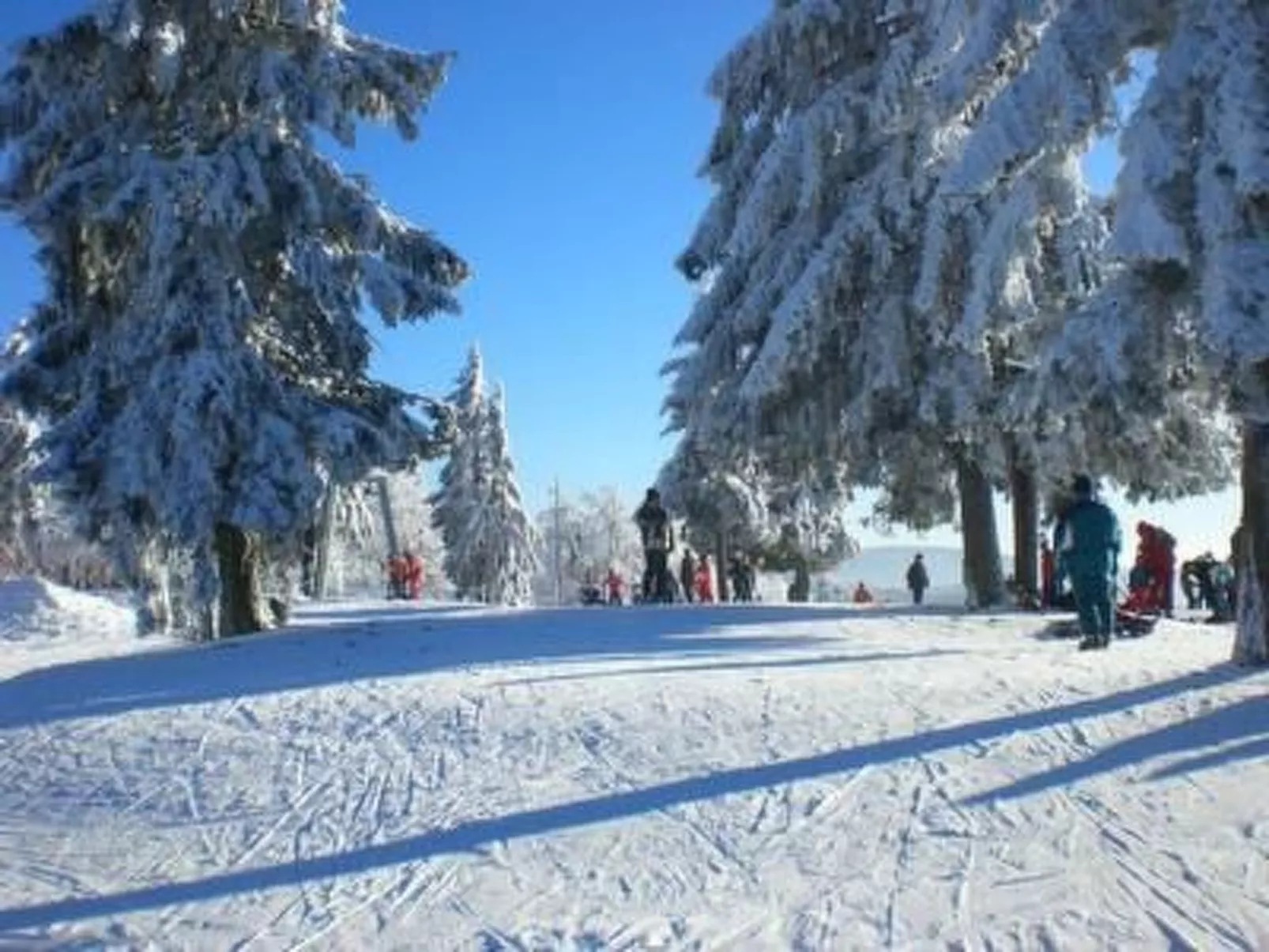 Chalet  " Jagdhaus"-Binnen
