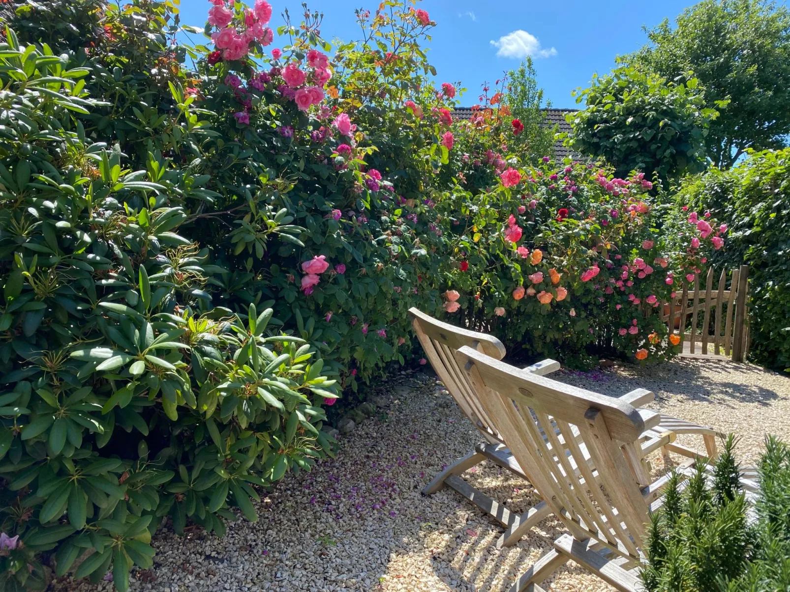 Haus Möwennest-Image-tags.info