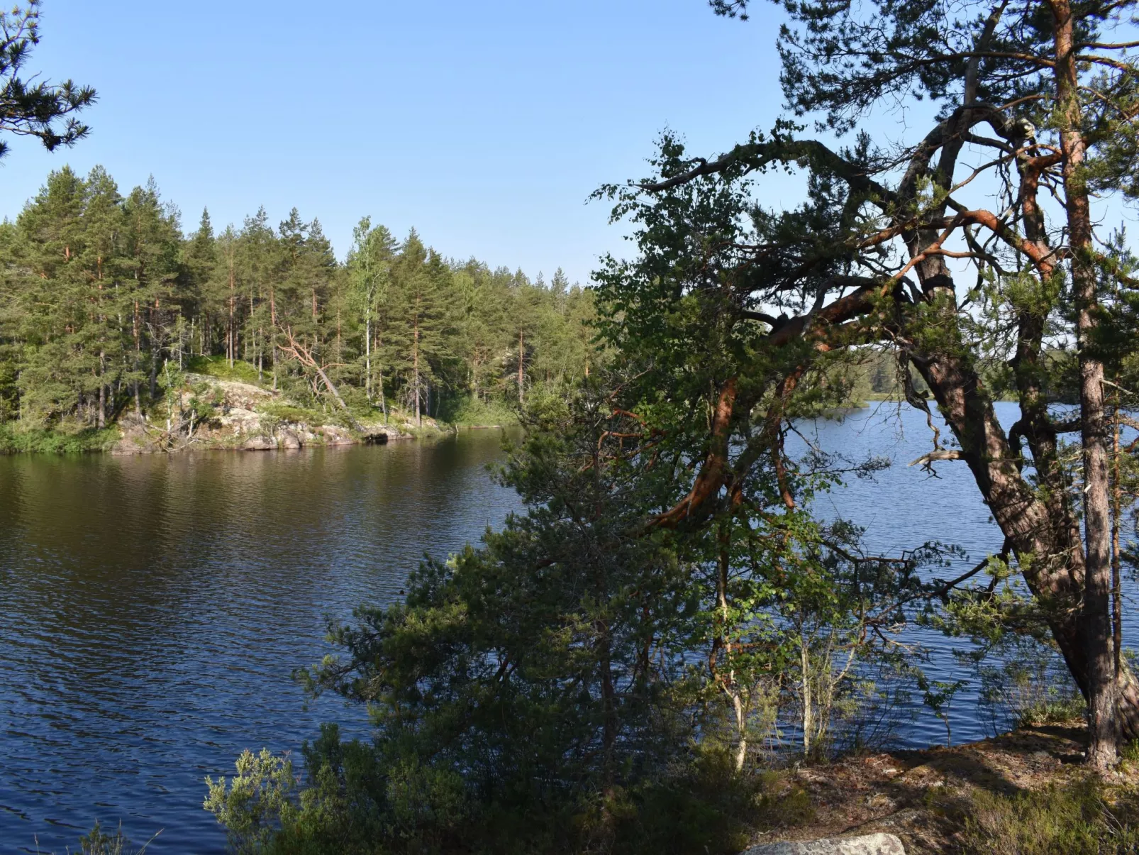 Typisch schwedisches Ferienhaus mit Garten-Buiten