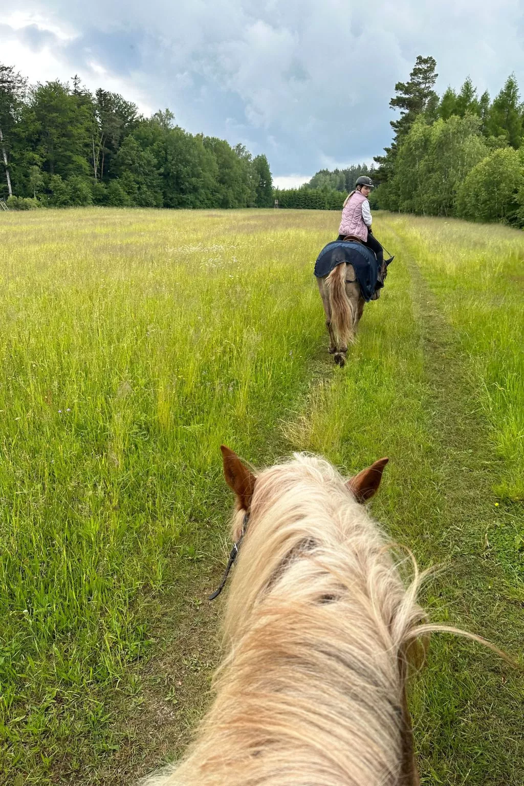 In  Green Valley Park 4 - Image-tags.info