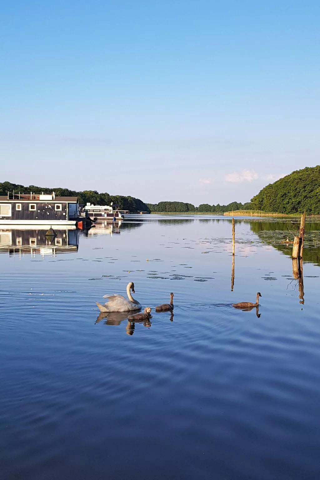 Landhaus Mueritzsee-Binnen