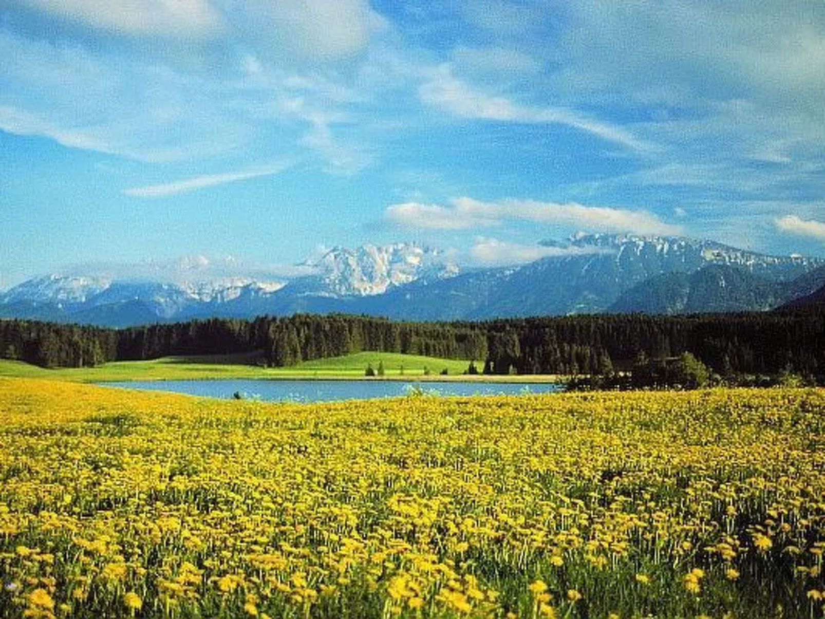 Appartement incl. KC-Buiten