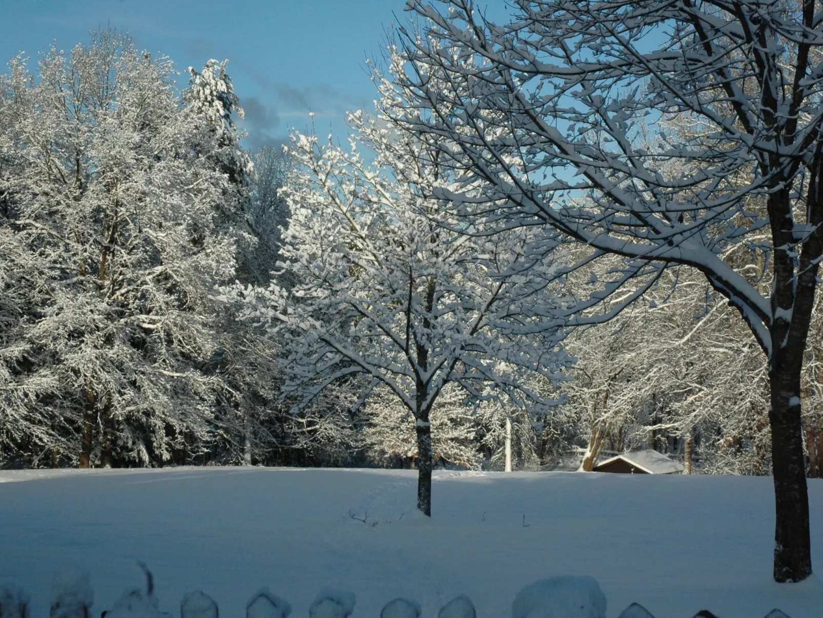 Vanessa-Image-tags.info