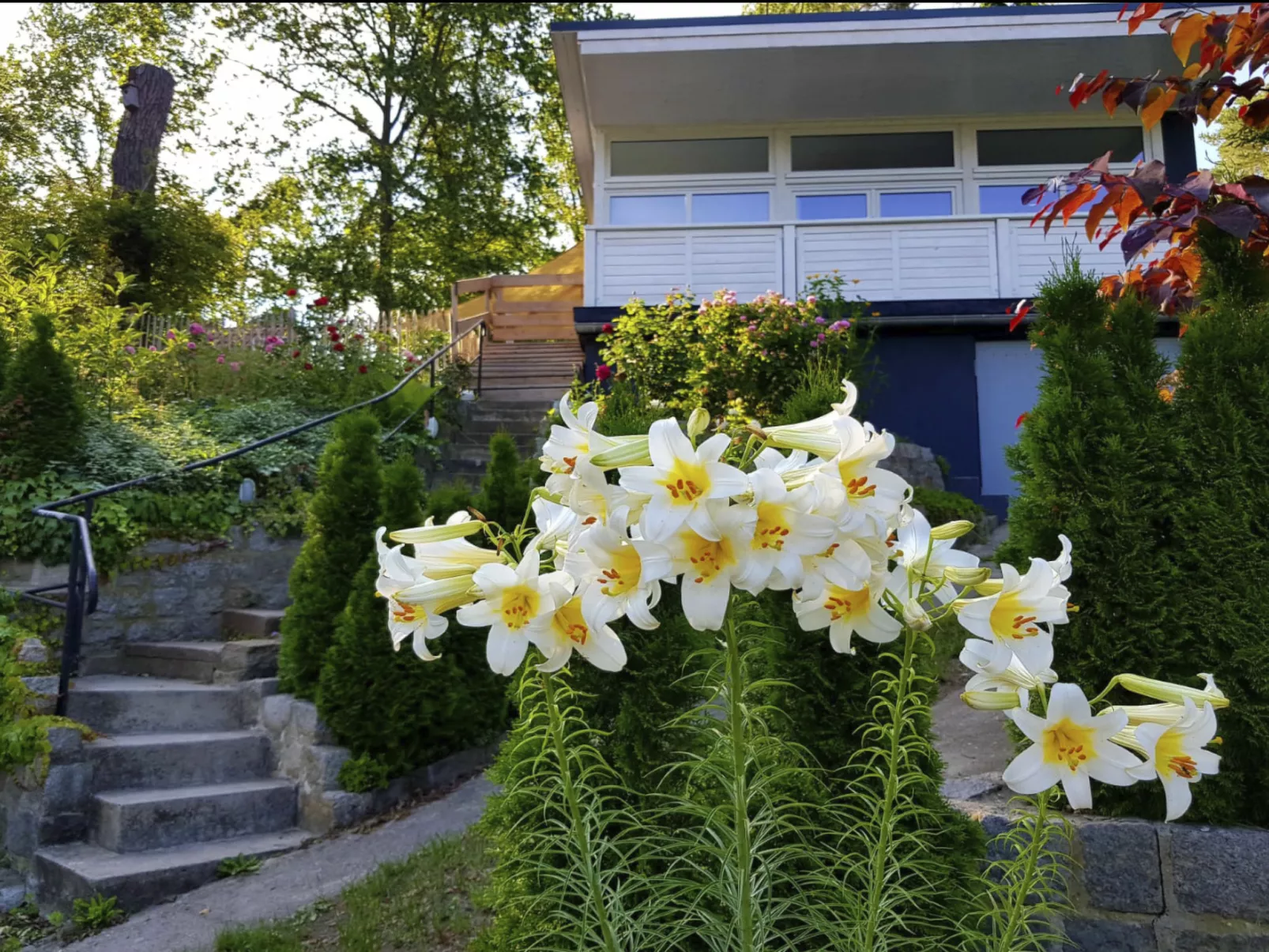 In Süd-Waldhanglage mit Seeblick-Binnen