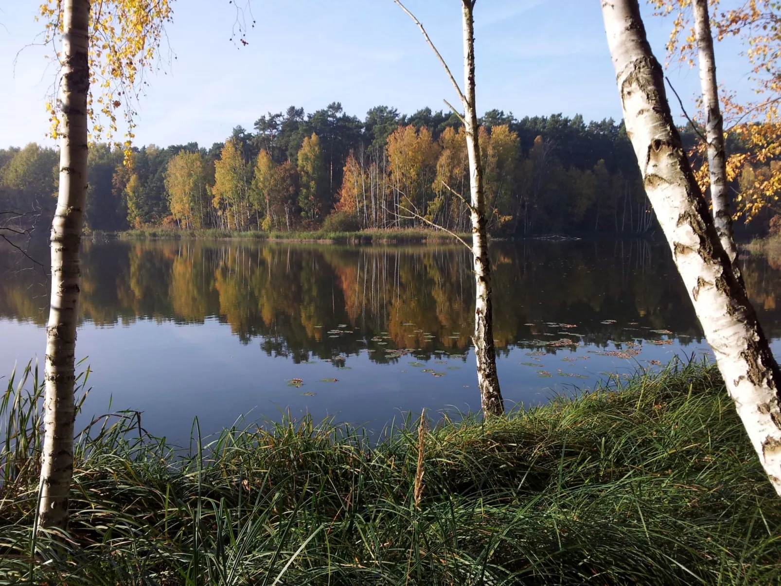 Appartement Nr.12-Binnen