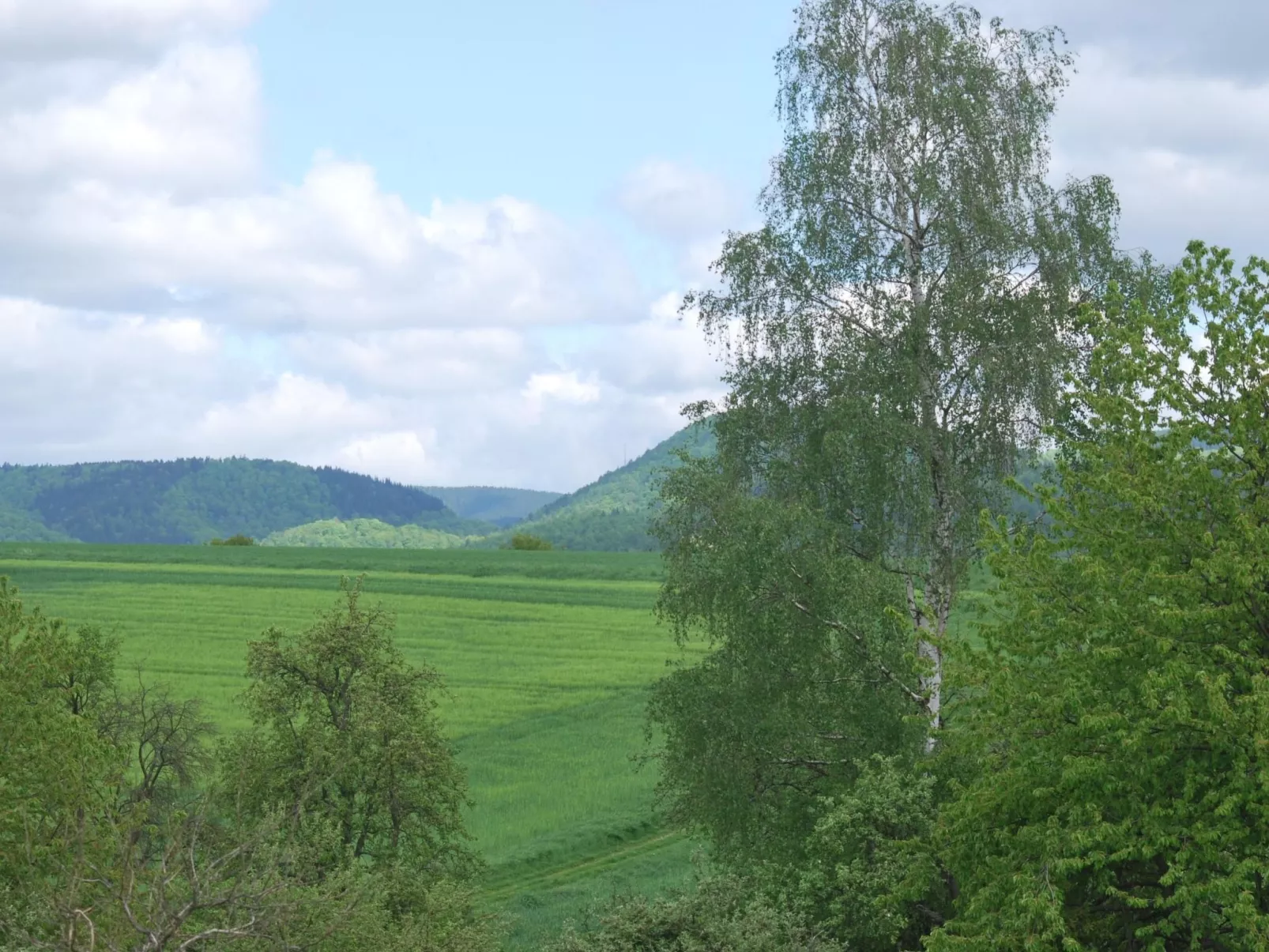 Fewo Stricker 22-Buiten